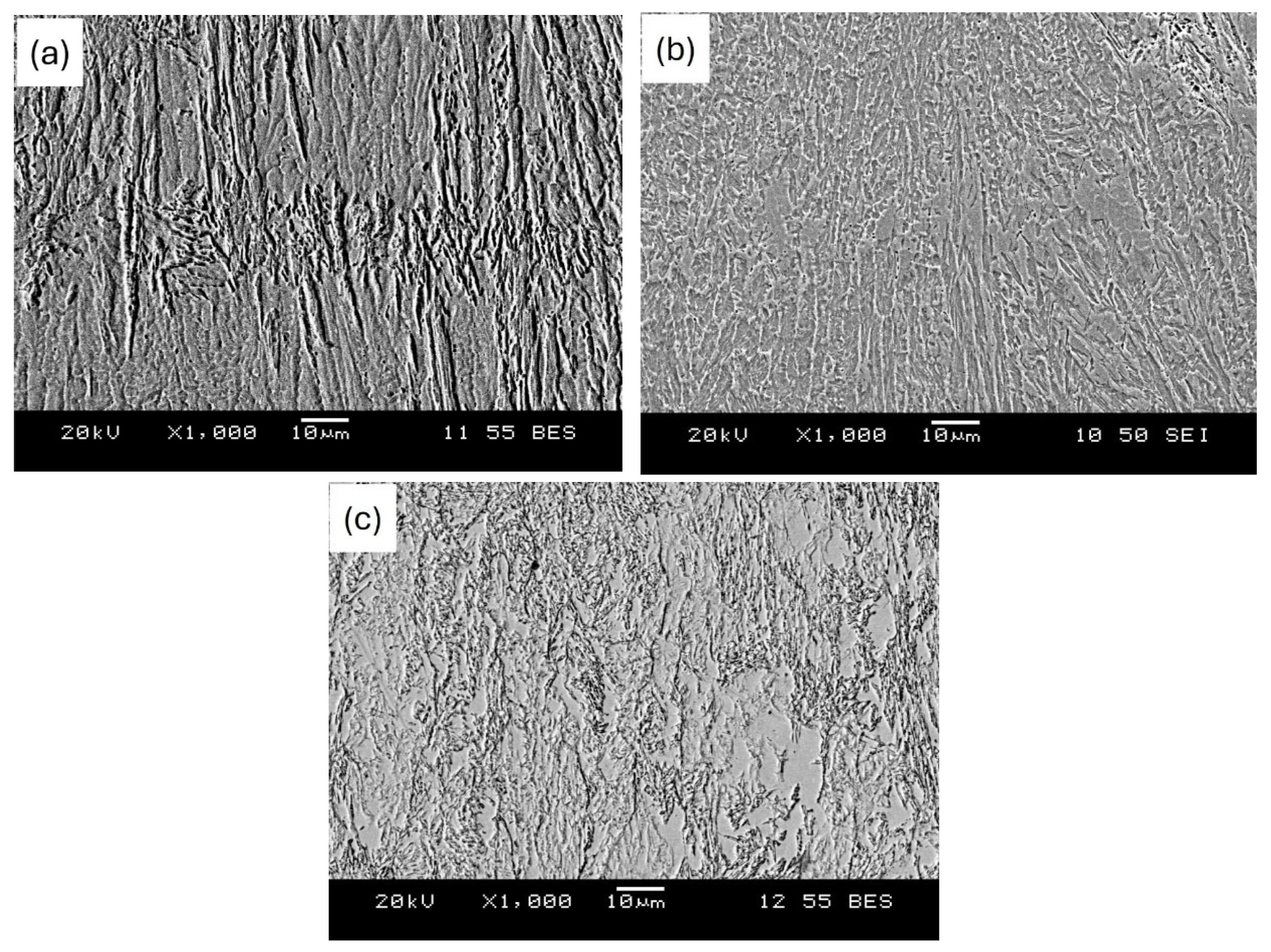 Metals 15 00612 g005