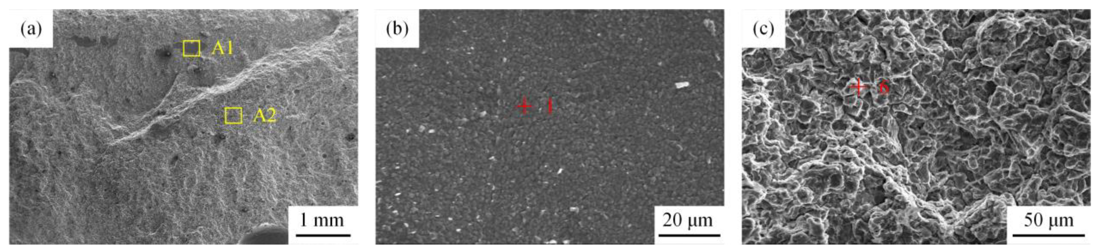 Metals 15 00625 g007a
