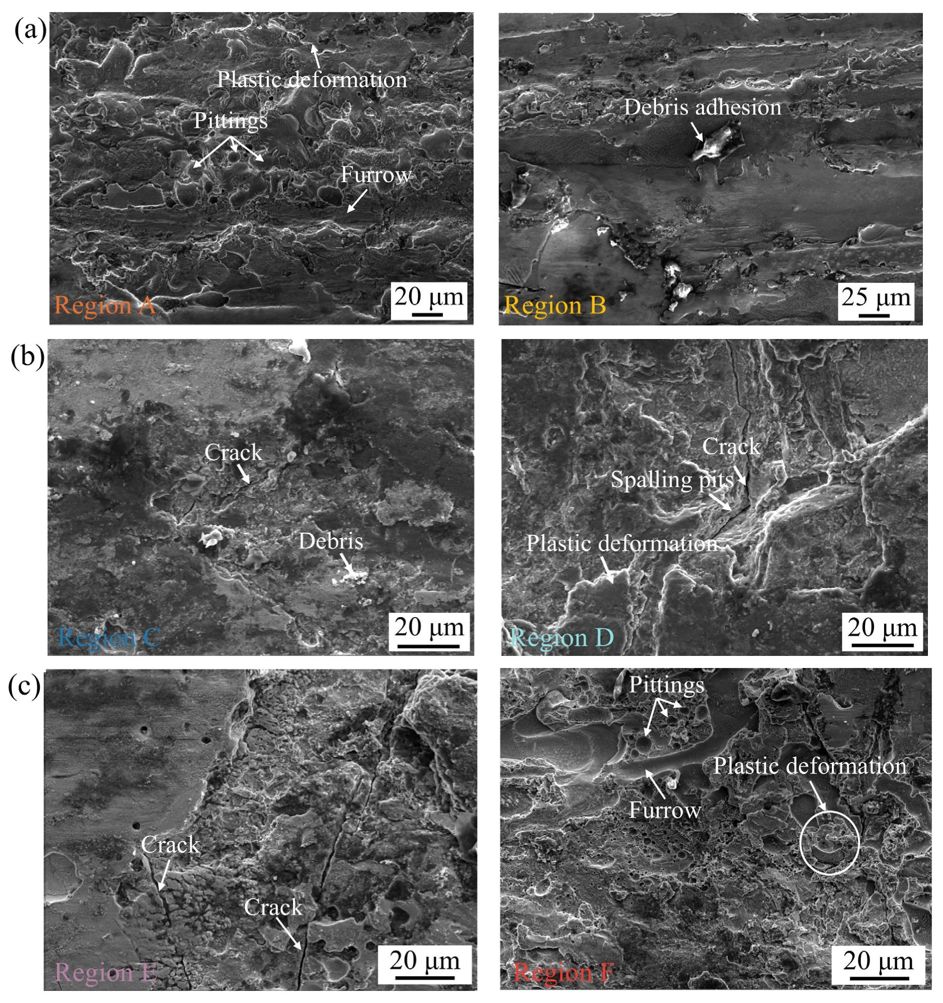 Metals 15 00641 g007