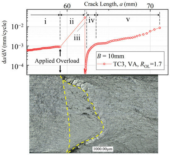 Metals 15 00644 g008