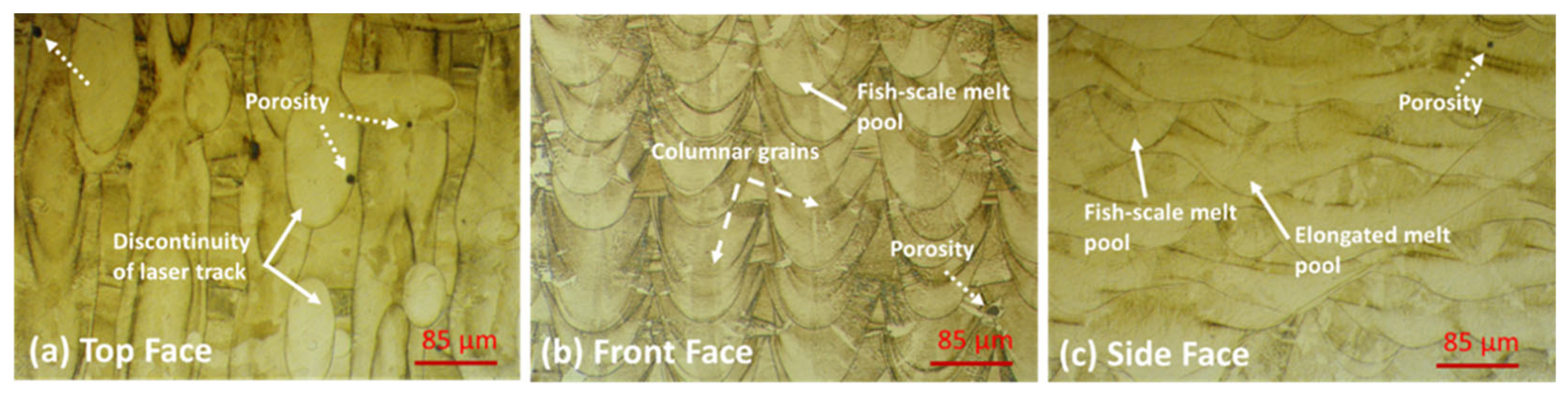 Metals 15 00650 g006