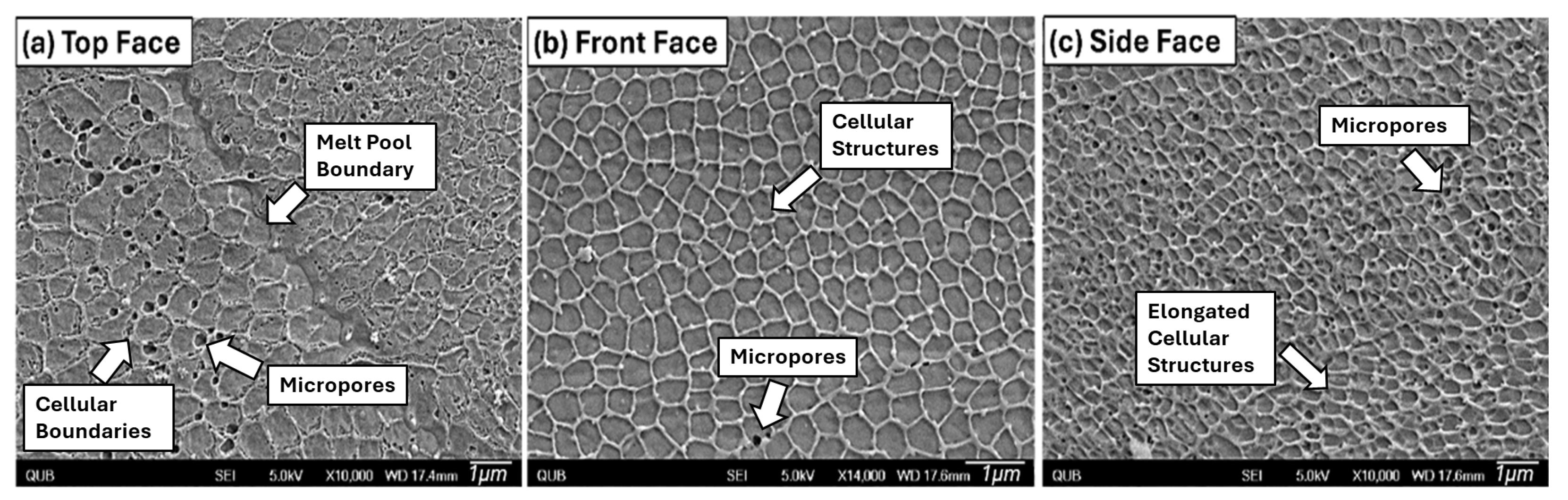 Metals 15 00650 g011