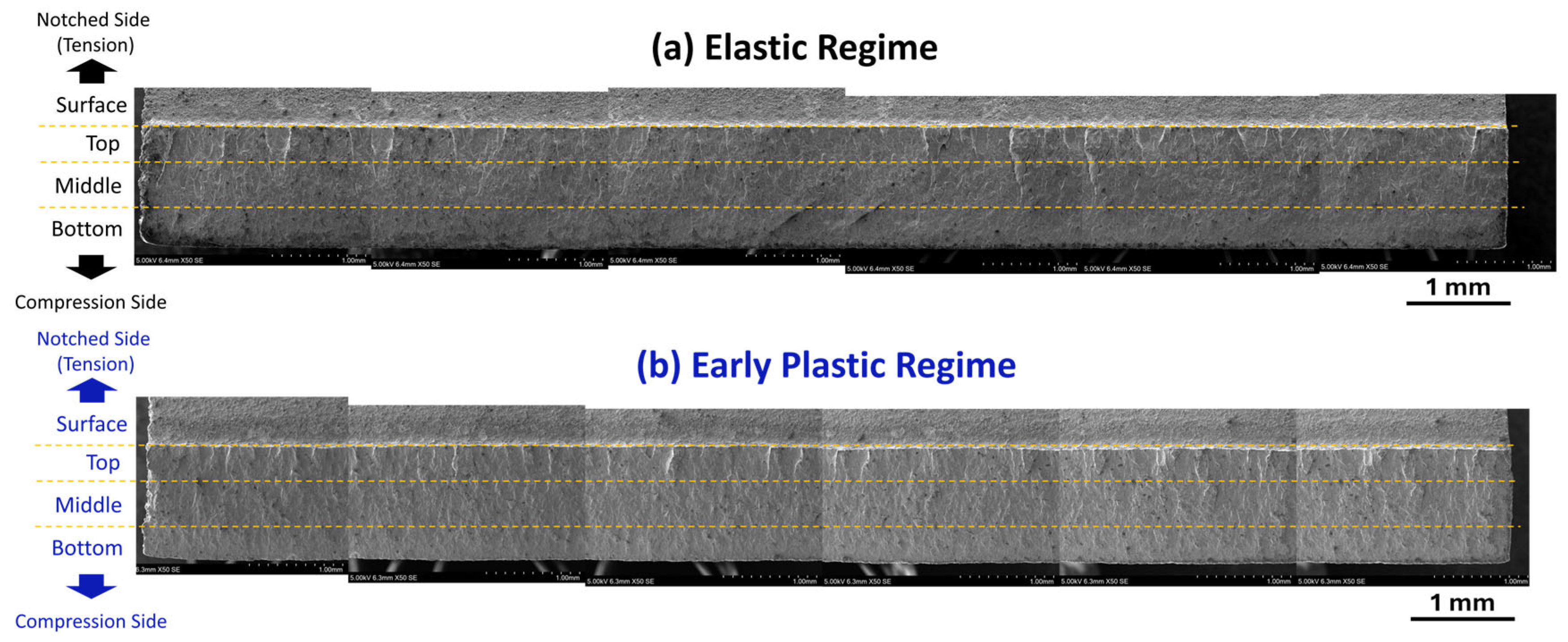 Metals 15 00650 g016