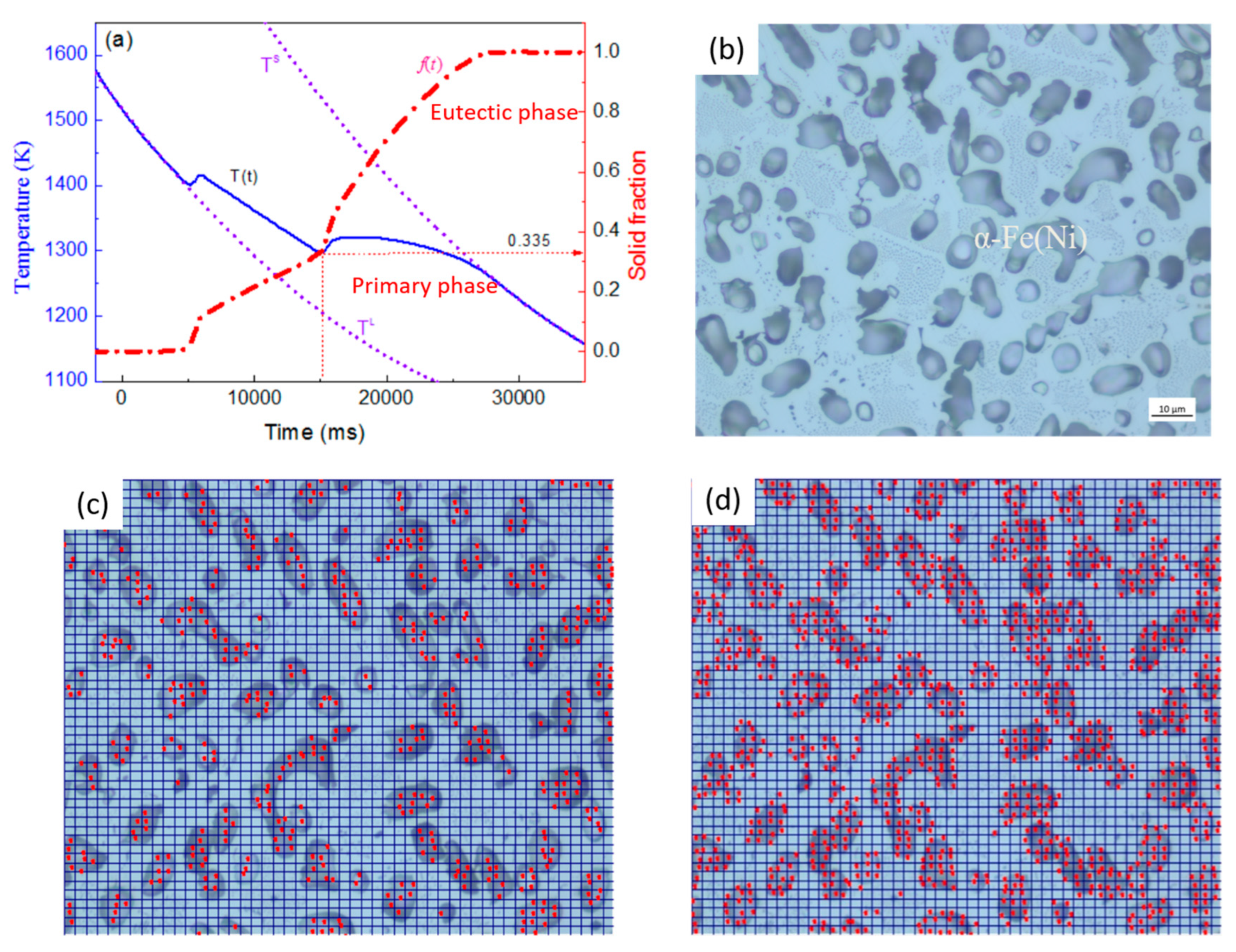 Metals 15 00652 g004