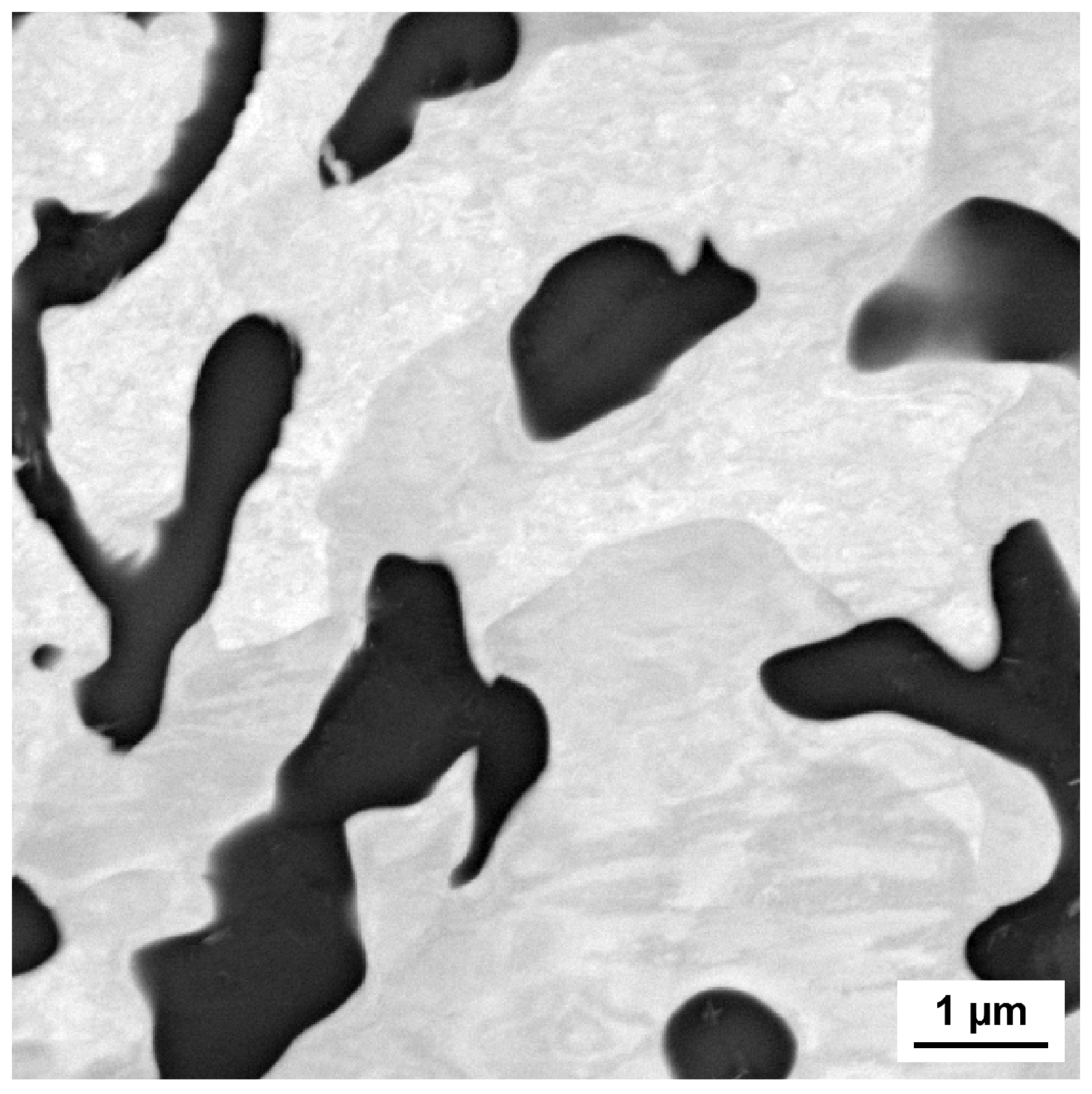 Metals 15 00664 g012