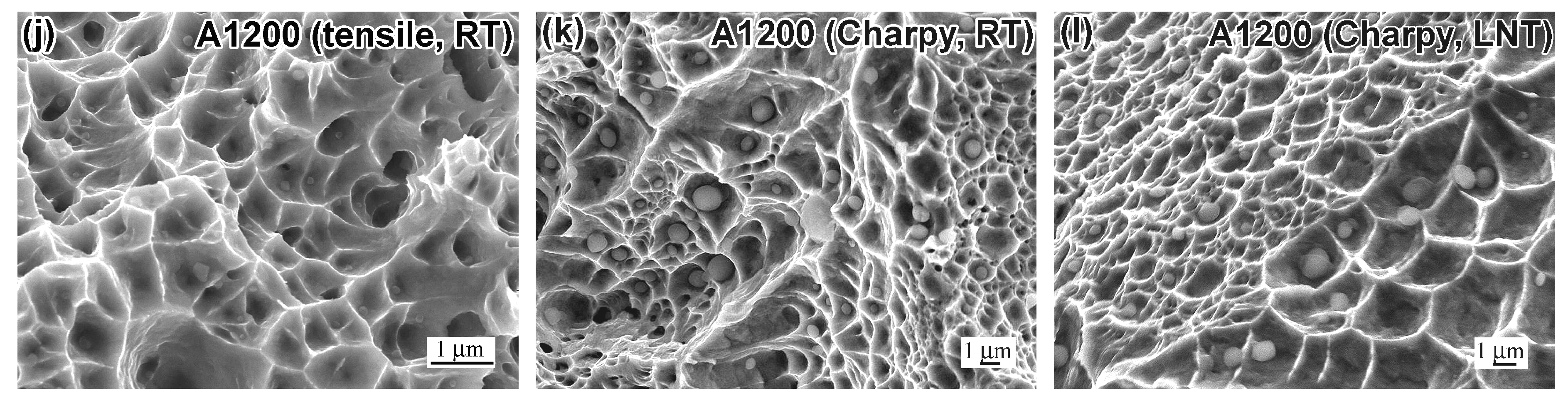 Metals 15 00684 g005b