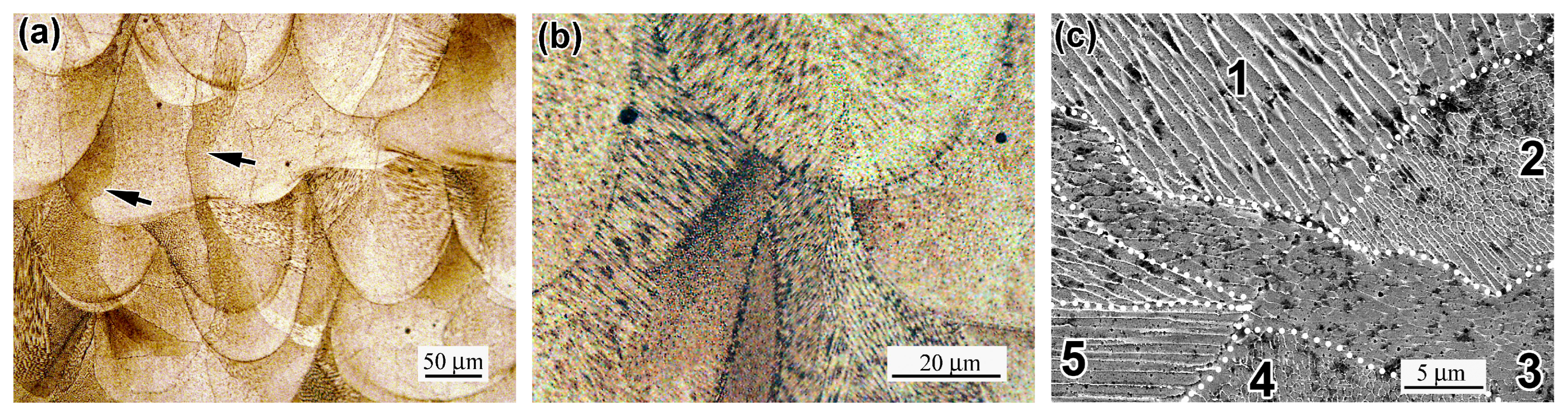 Metals 15 00684 g006a