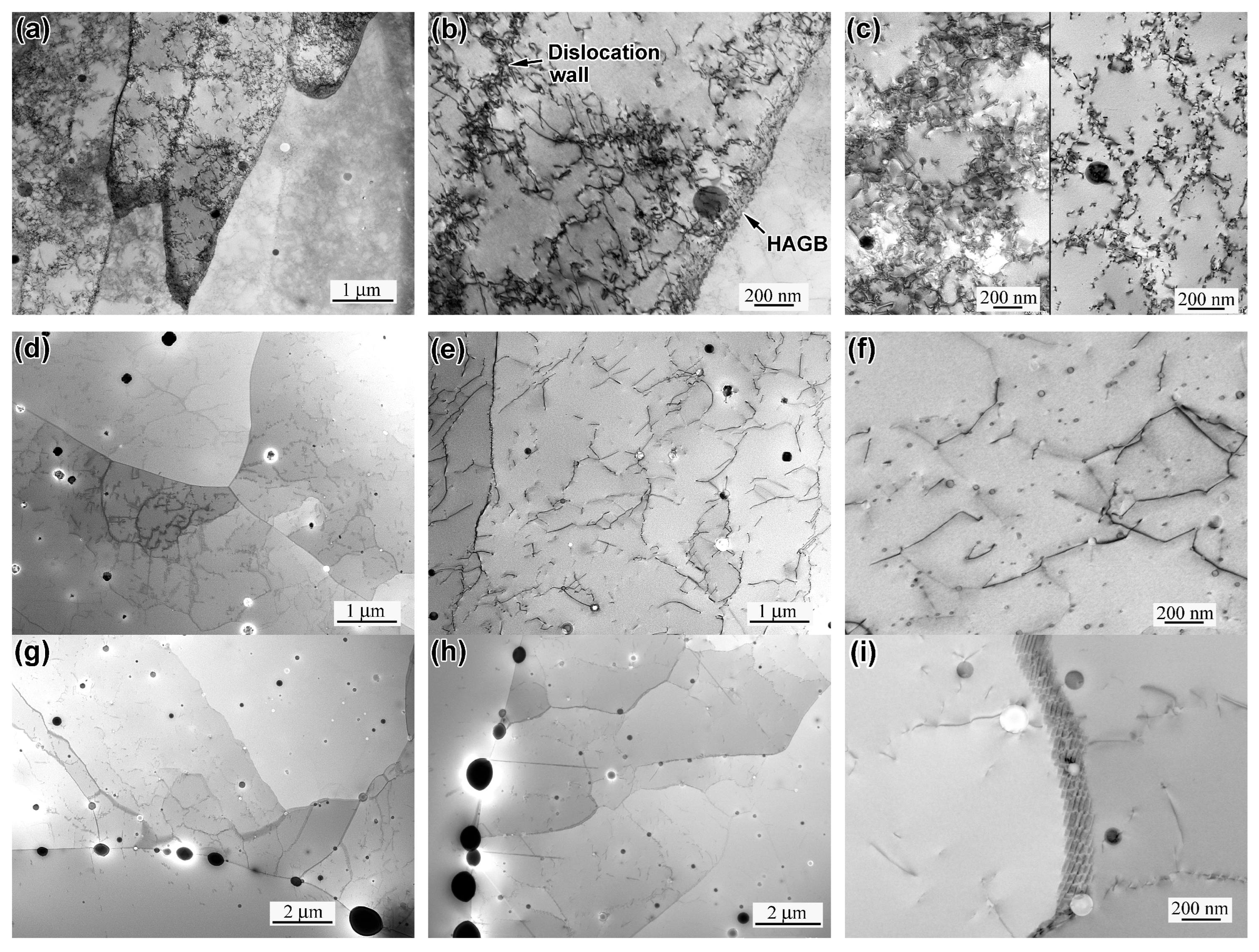 Metals 15 00684 g008