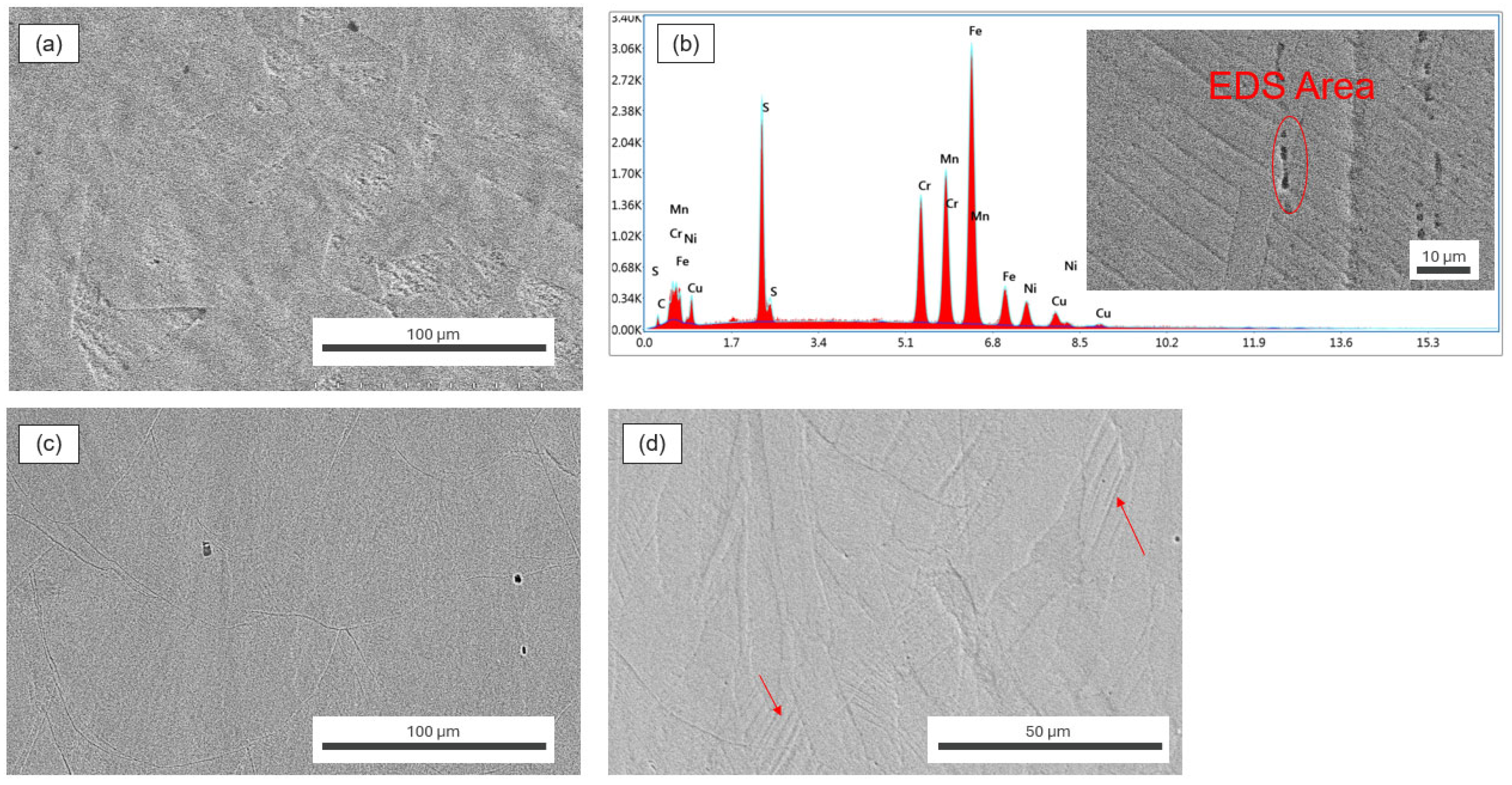 Metals 15 00689 g010