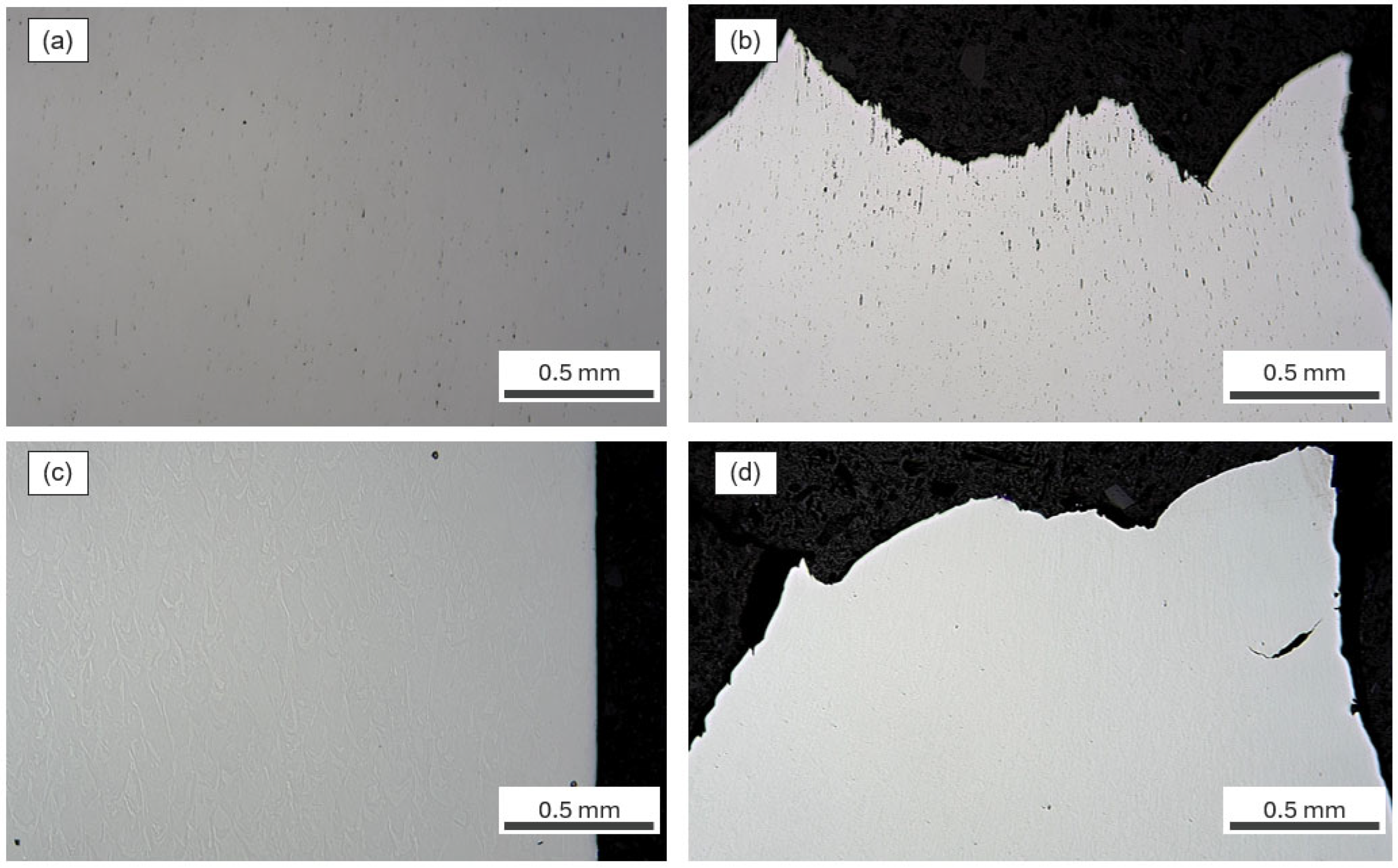 Metals 15 00689 g011