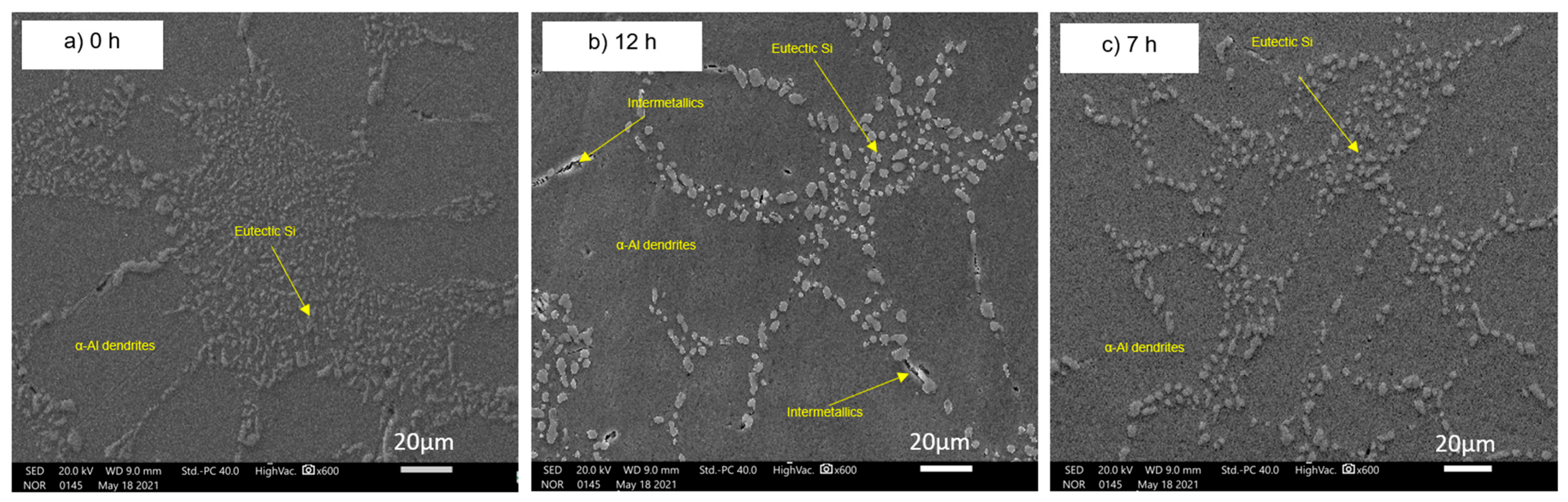 Metals 15 00692 g004