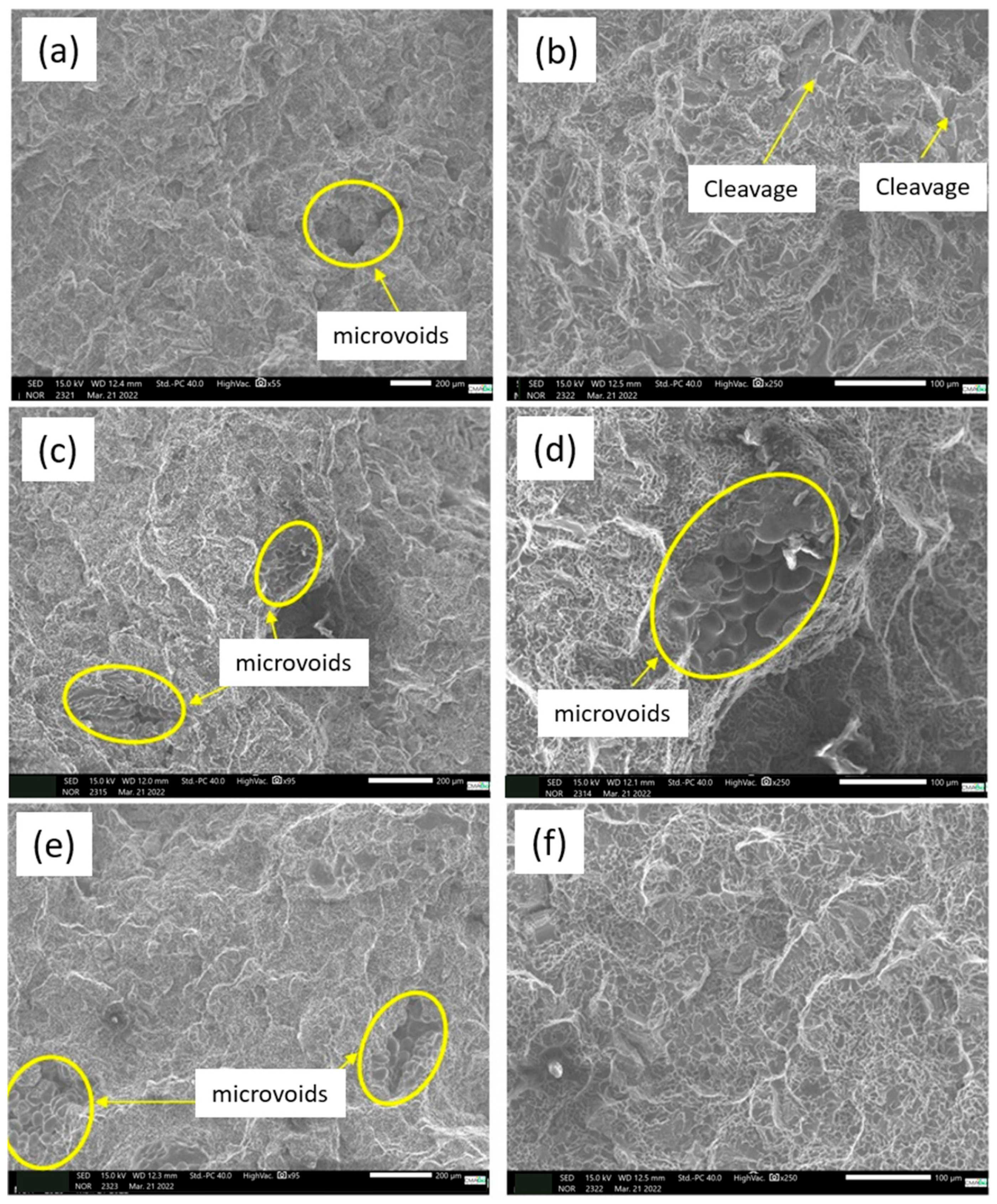 Metals 15 00692 g023