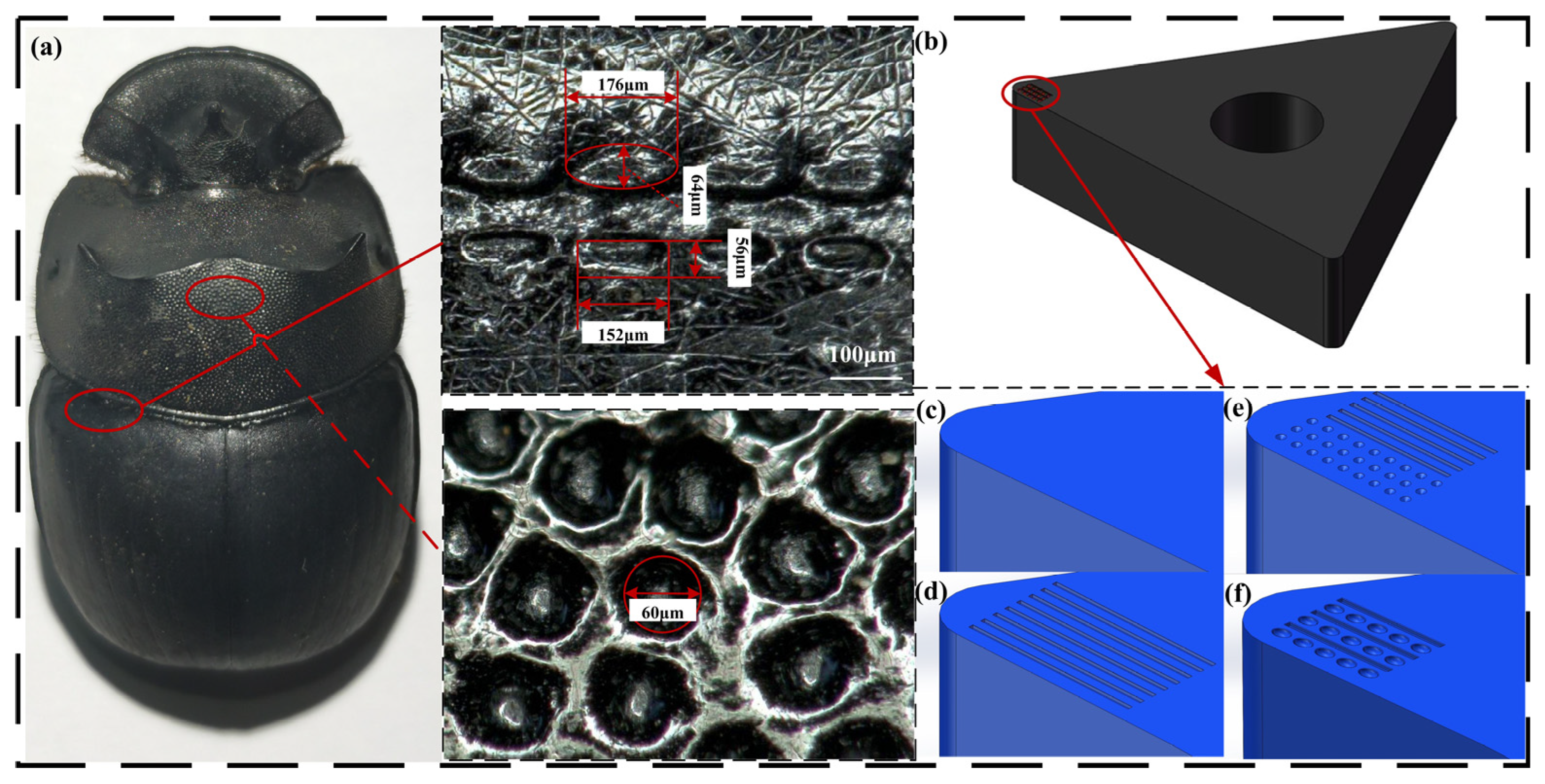 Metals 15 00697 g001