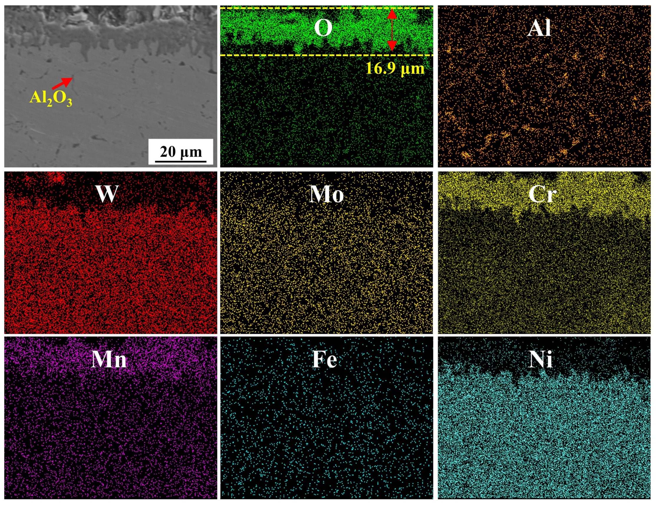 Metals 15 00708 g013
