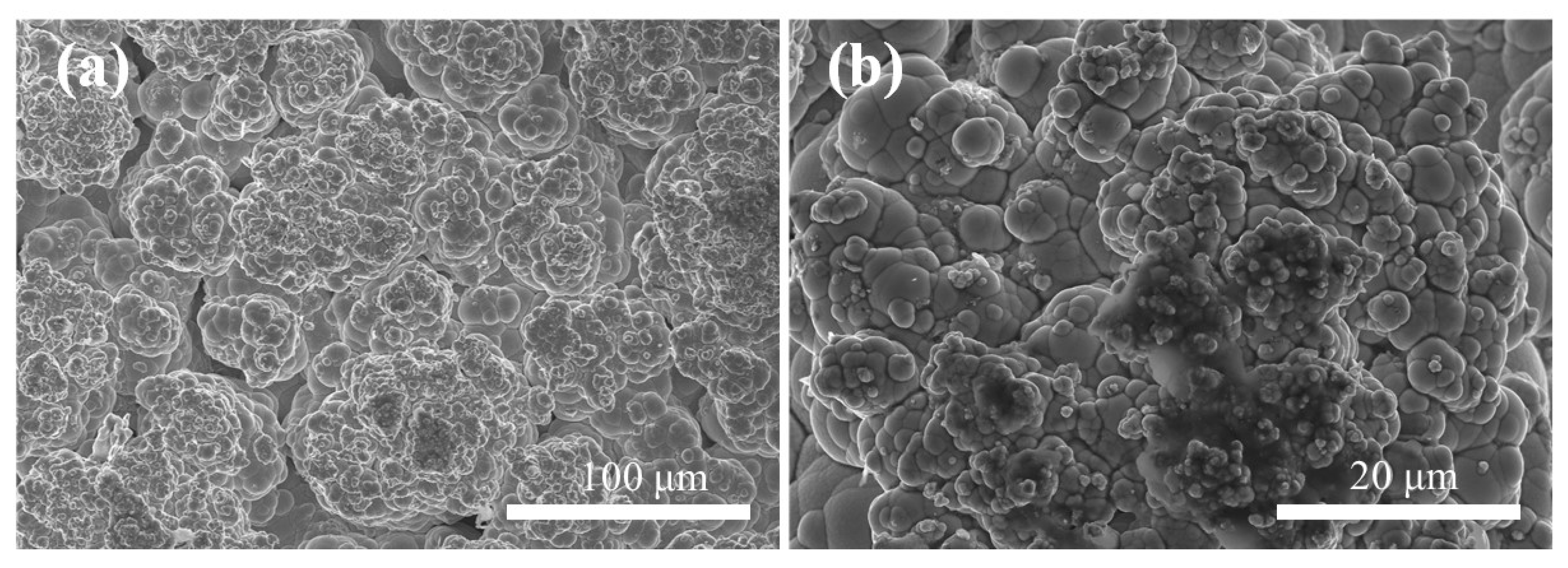 Metals 15 00714 g008