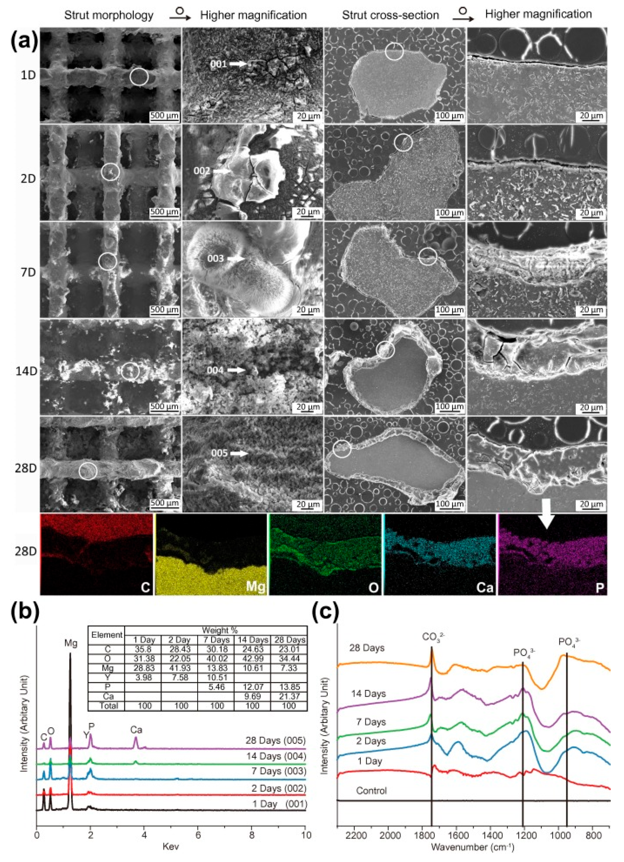 Metals 15 00754 g006