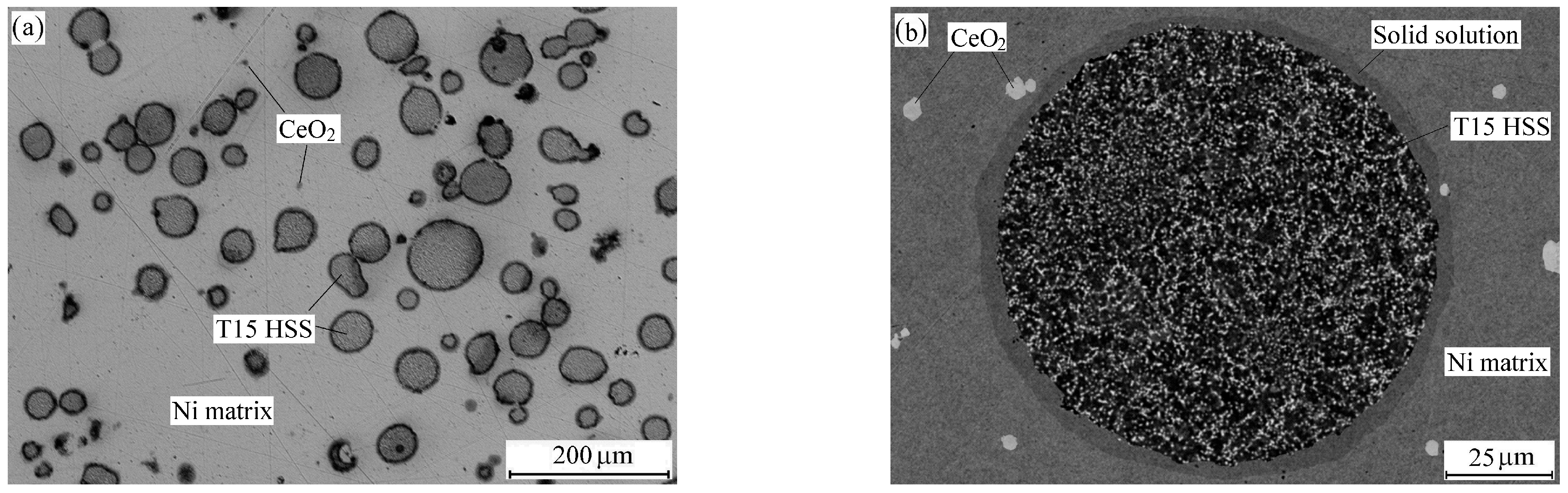 Metals 15 00772 g004