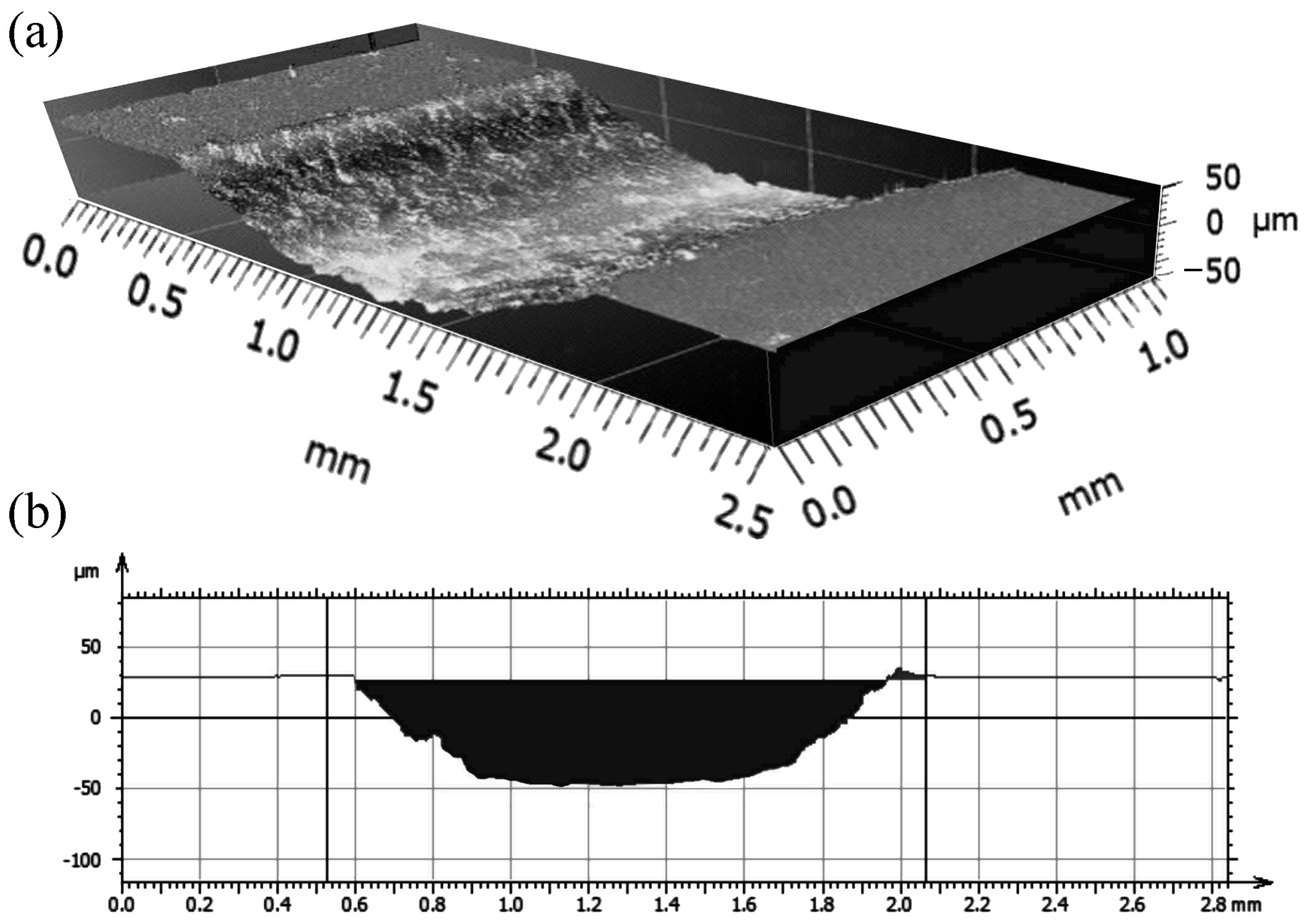 Metals 15 00772 g010