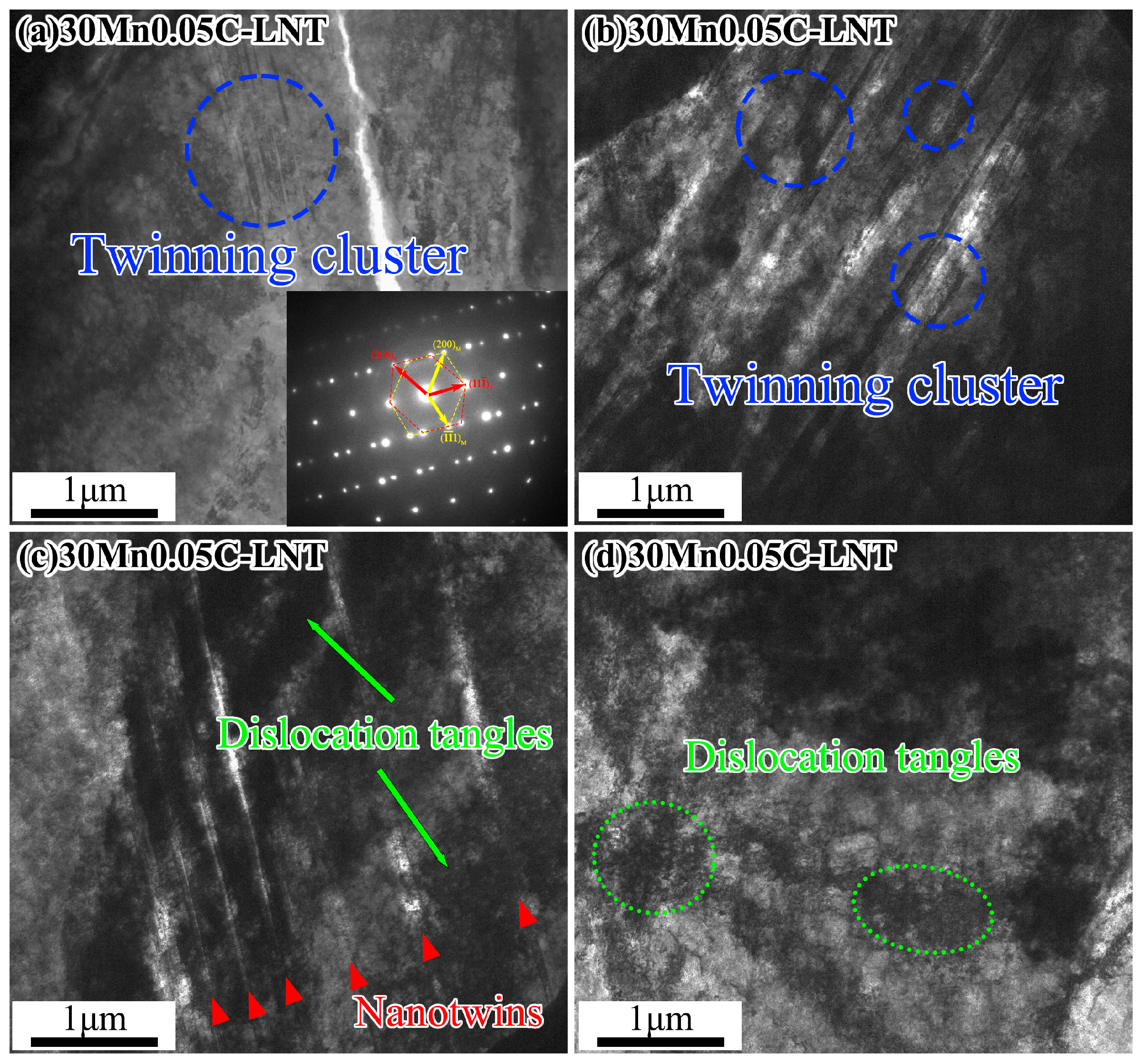 Metals 15 00779 g007