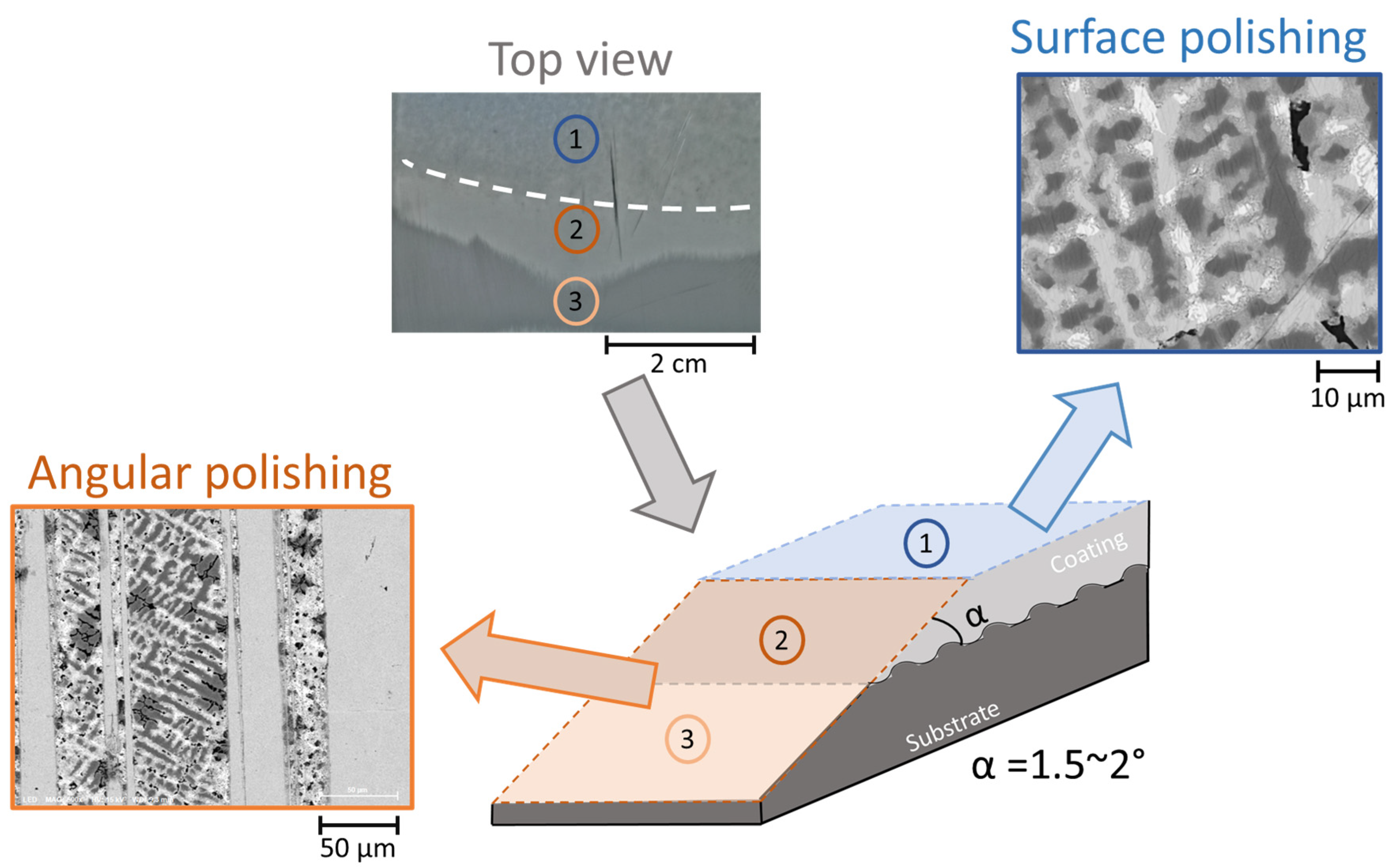 Metals 15 00821 g002