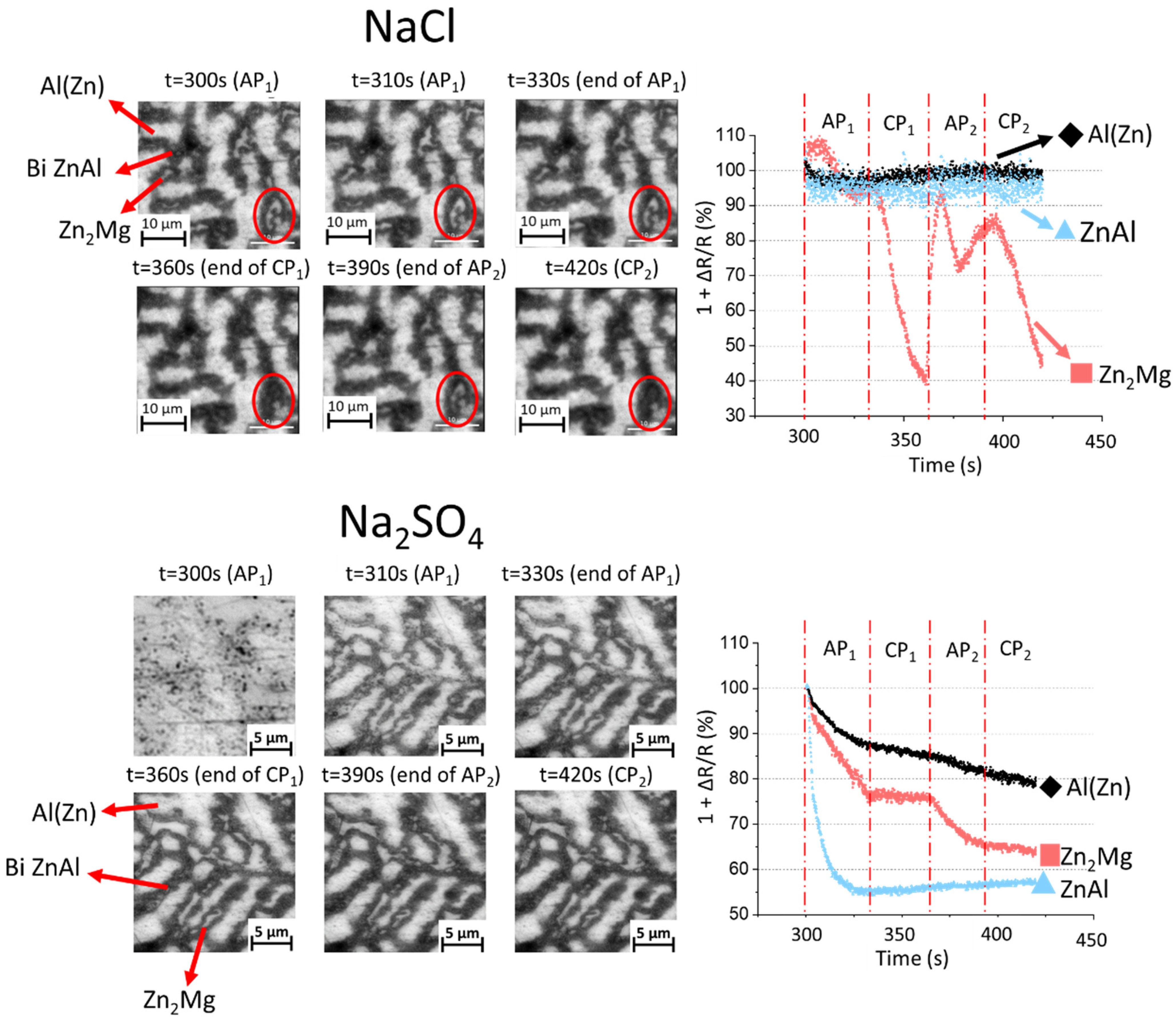 Metals 15 00821 g005
