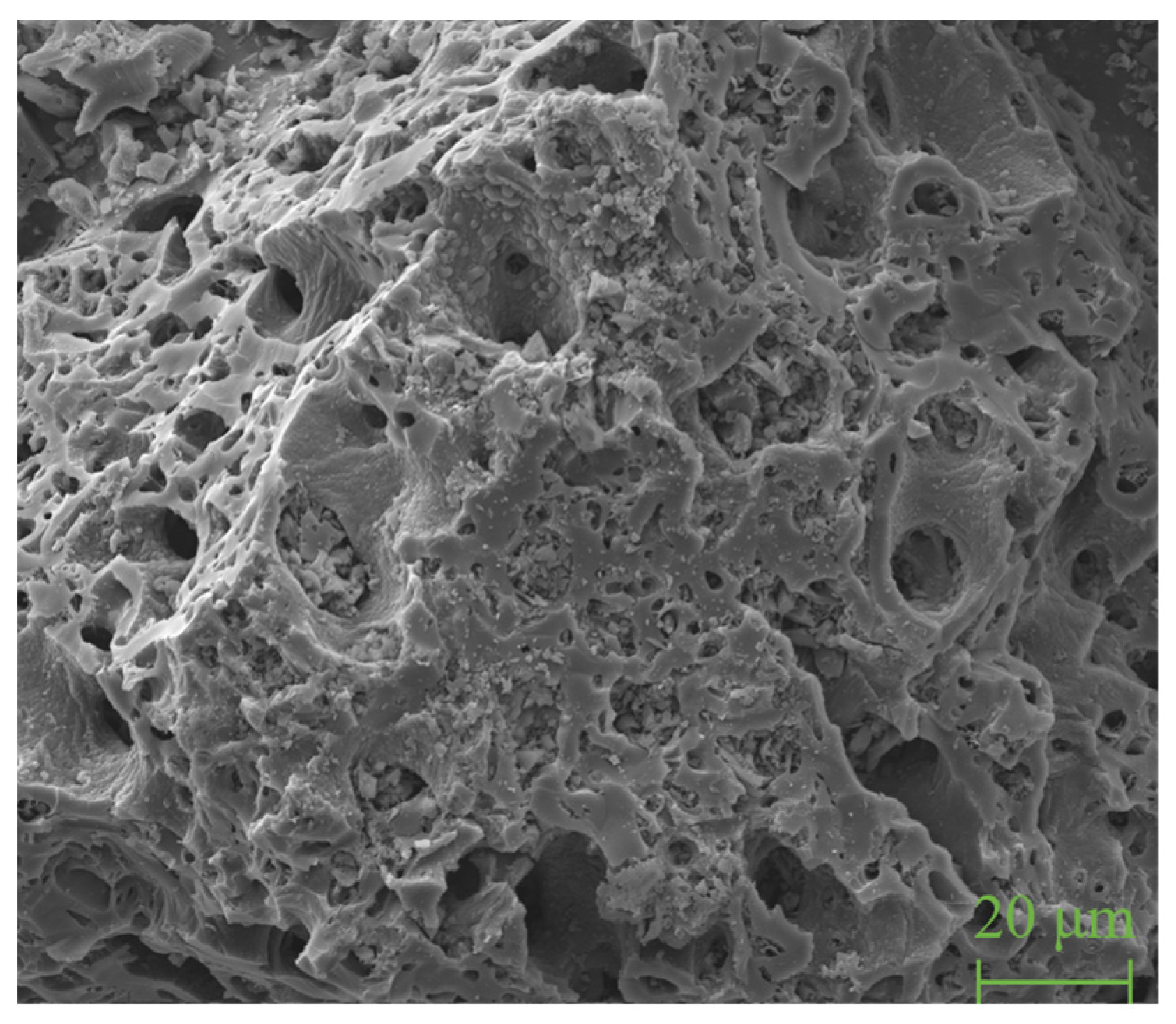 Metals 15 00835 g005