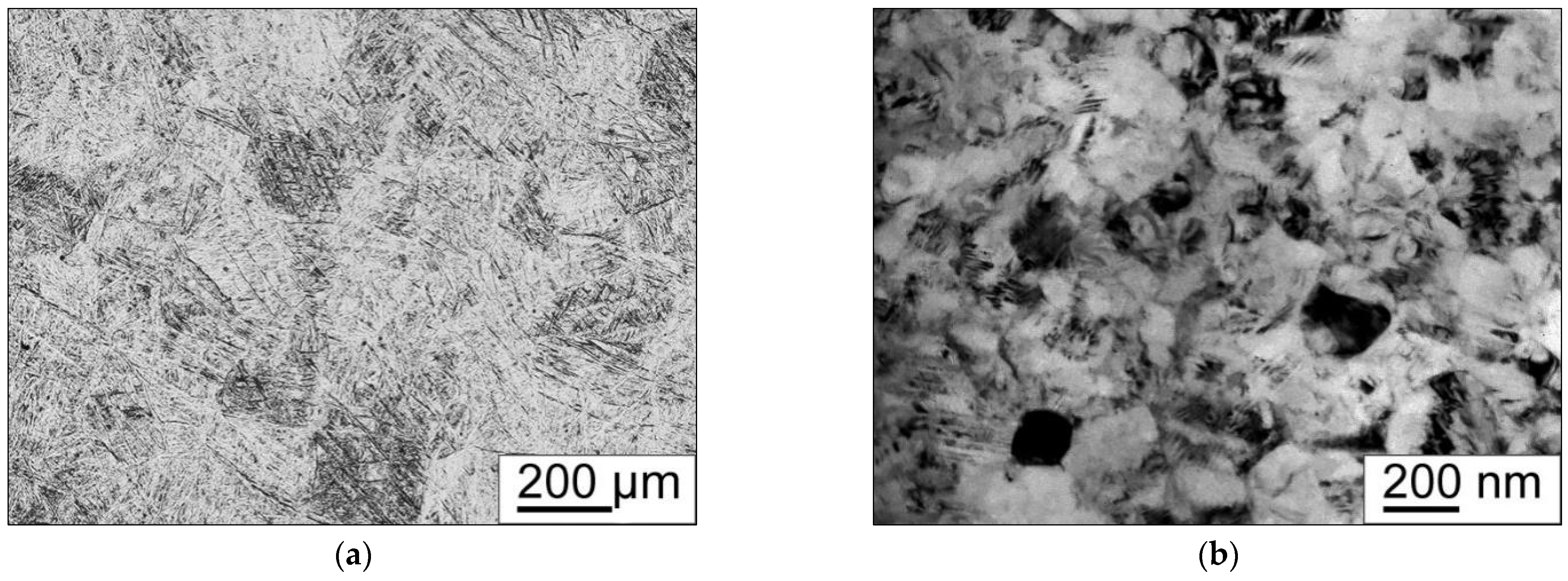 Metals 15 00839 g008a