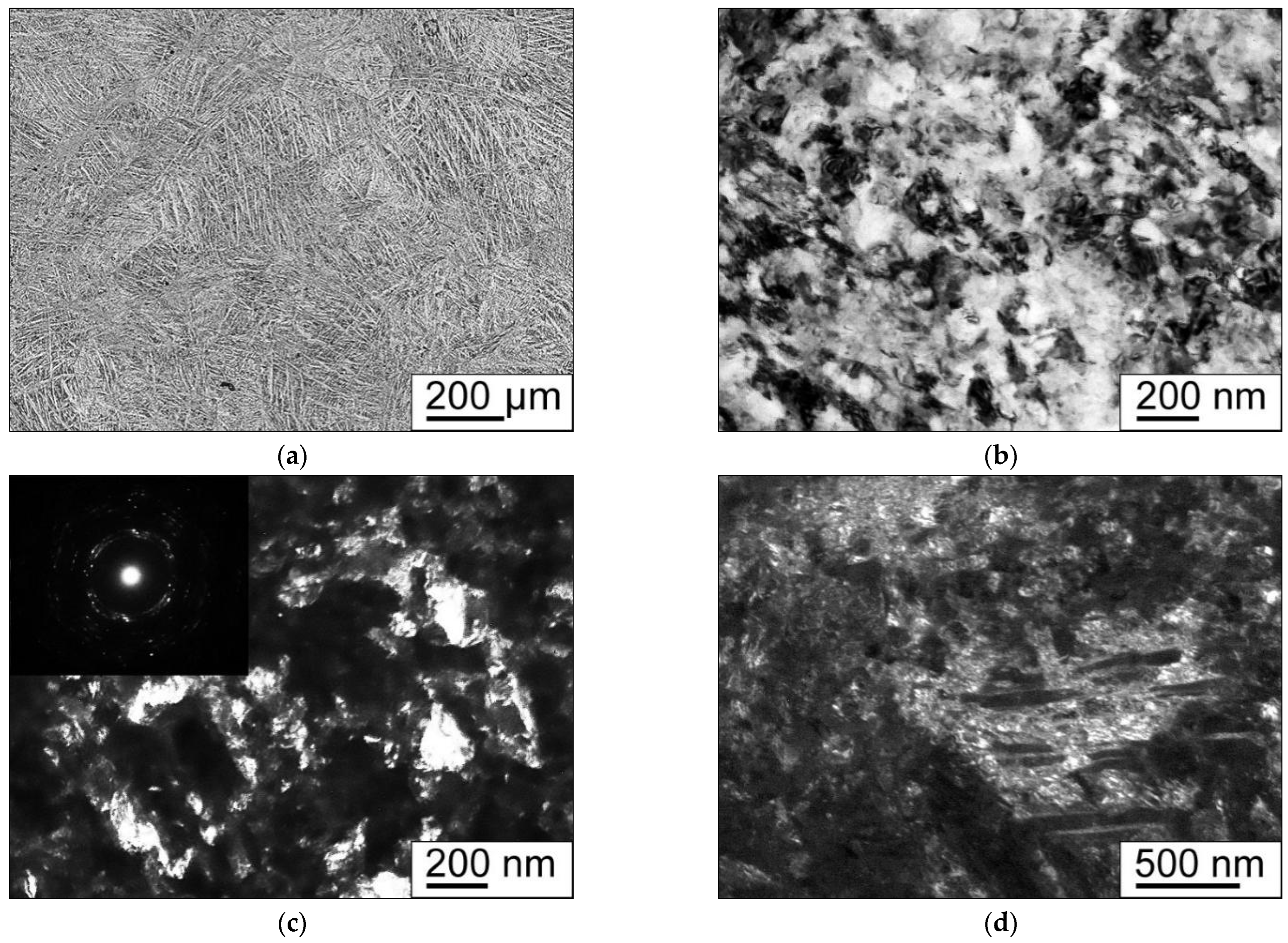 Metals 15 00839 g010