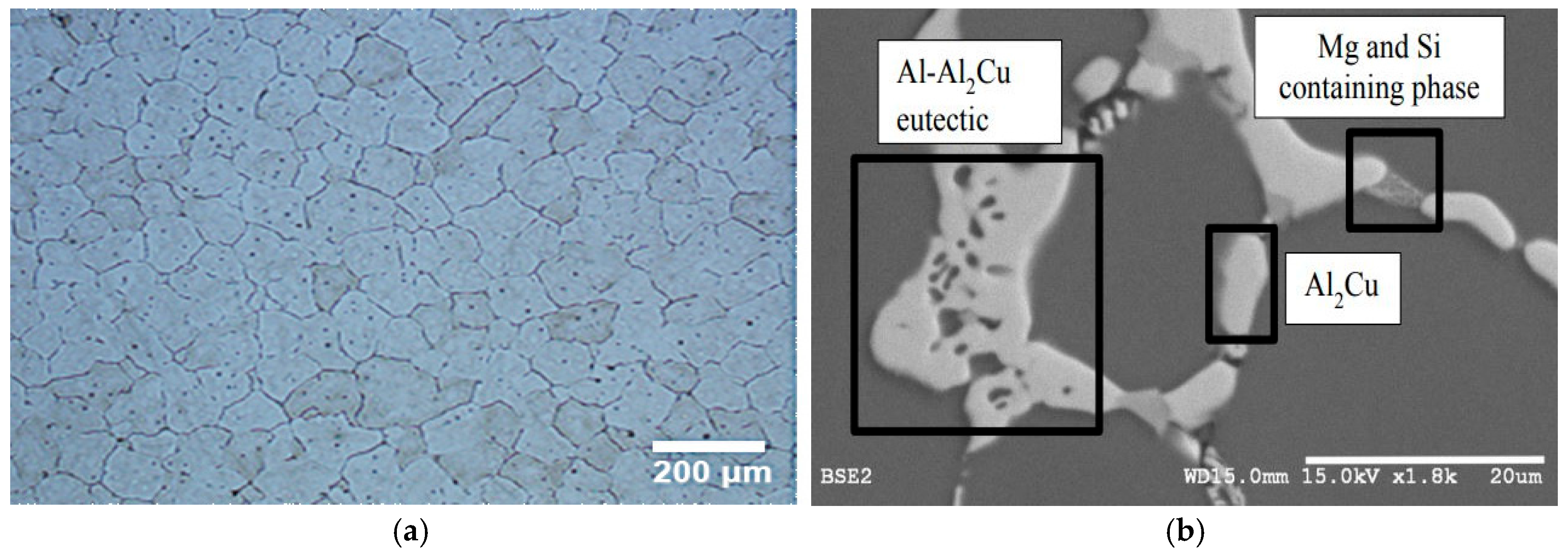 Metals 15 00846 g001