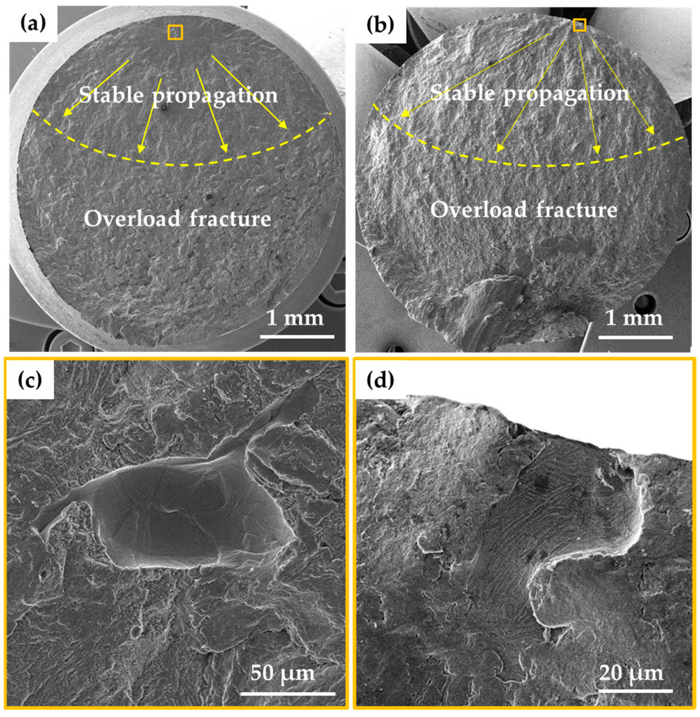 Metals 15 00849 g007