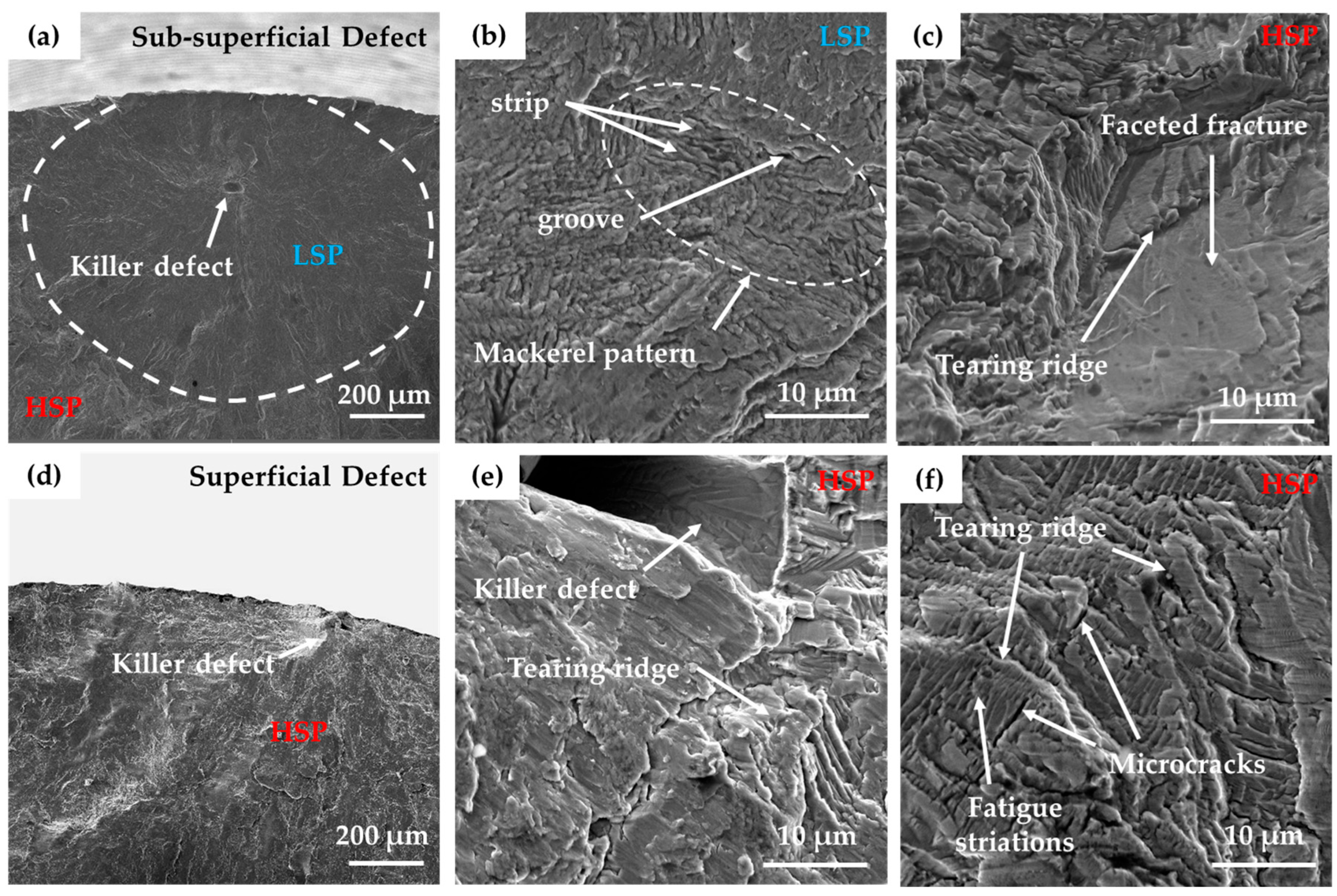 Metals 15 00849 g008