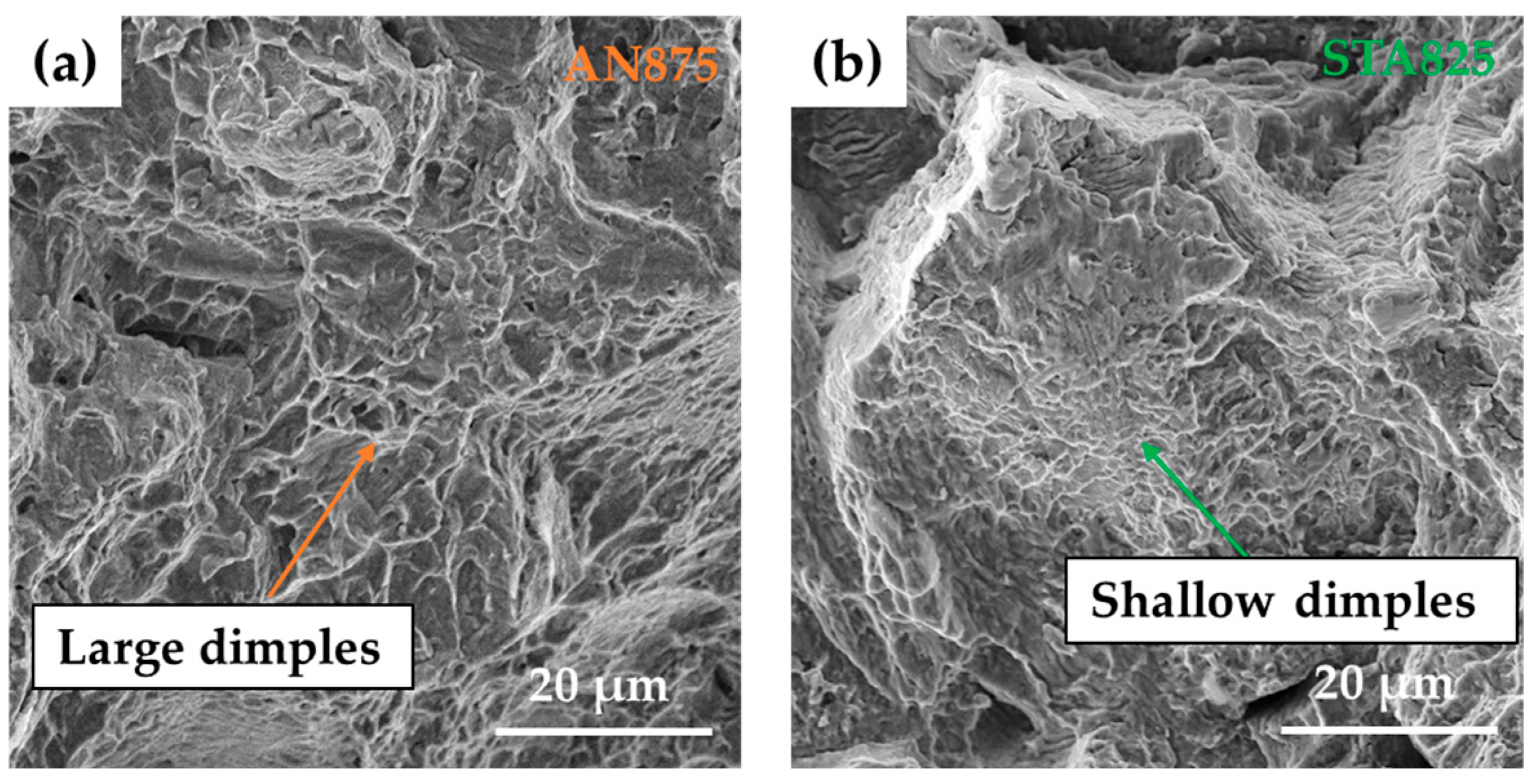 Metals 15 00849 g009