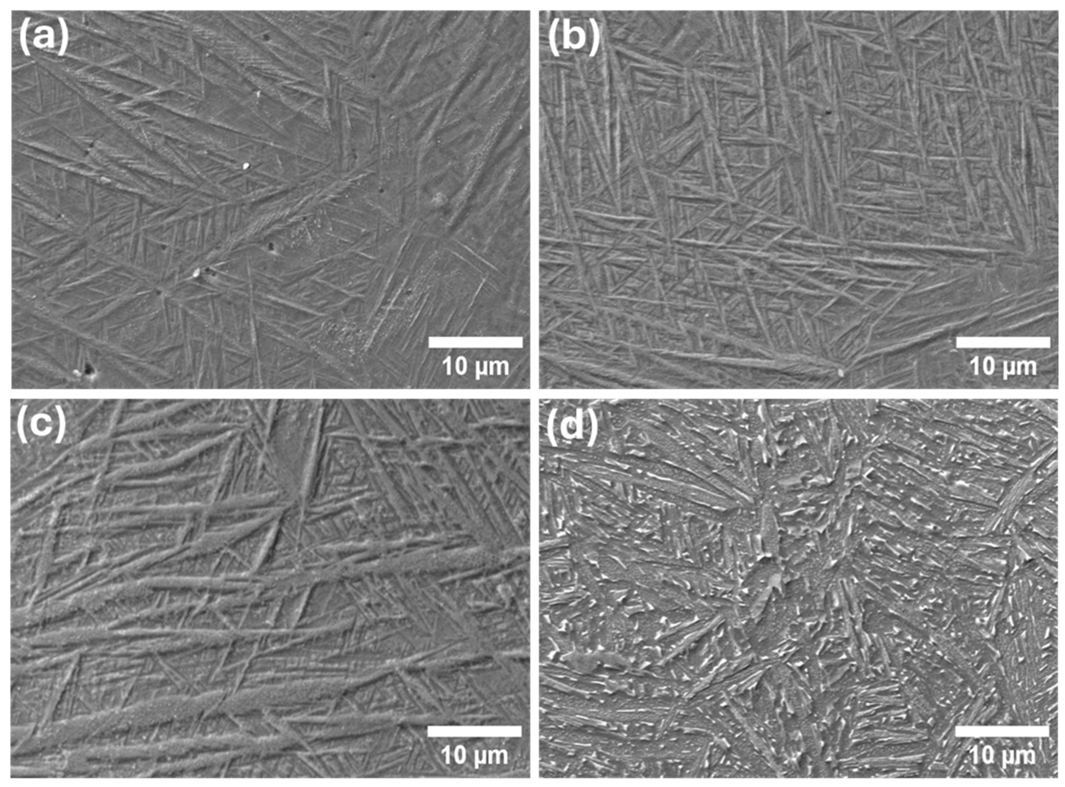 Metals 15 00855 g001