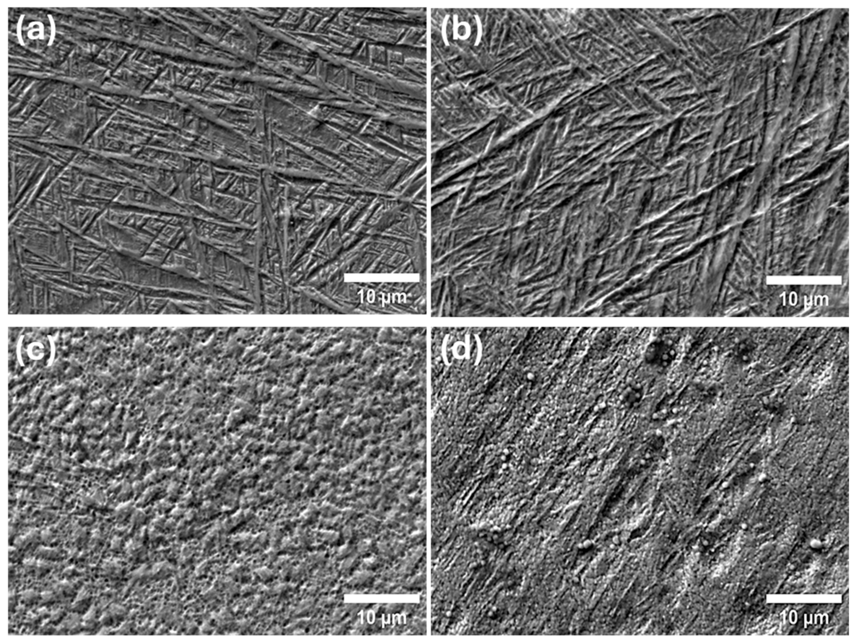 Metals 15 00855 g009