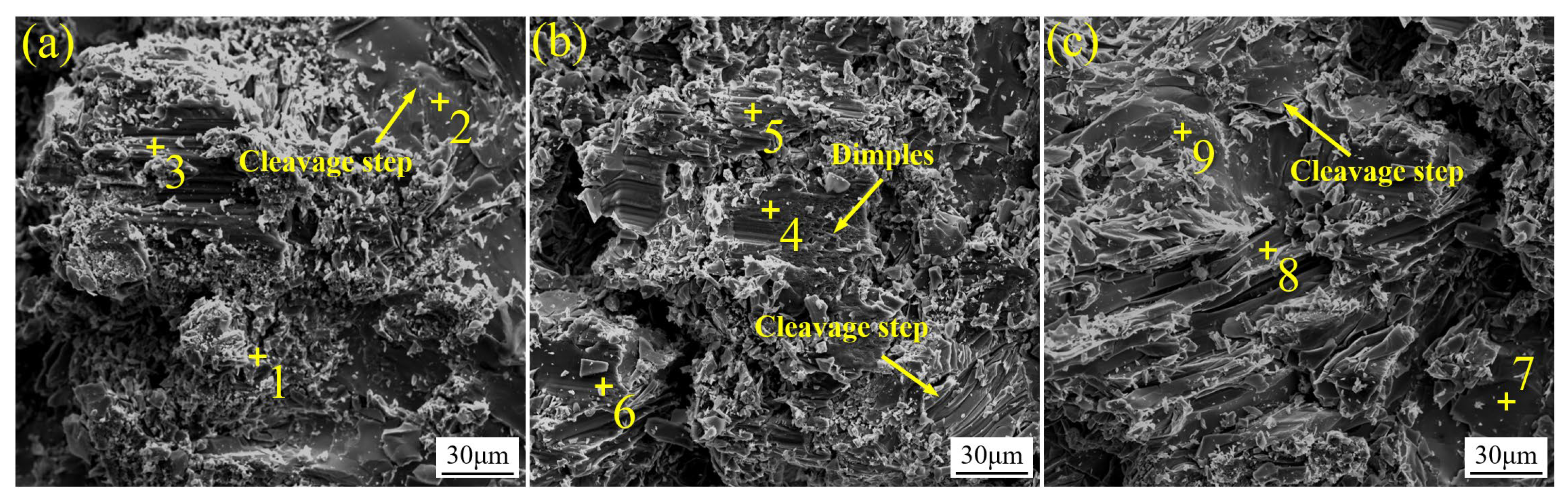 Metals 15 00857 g014