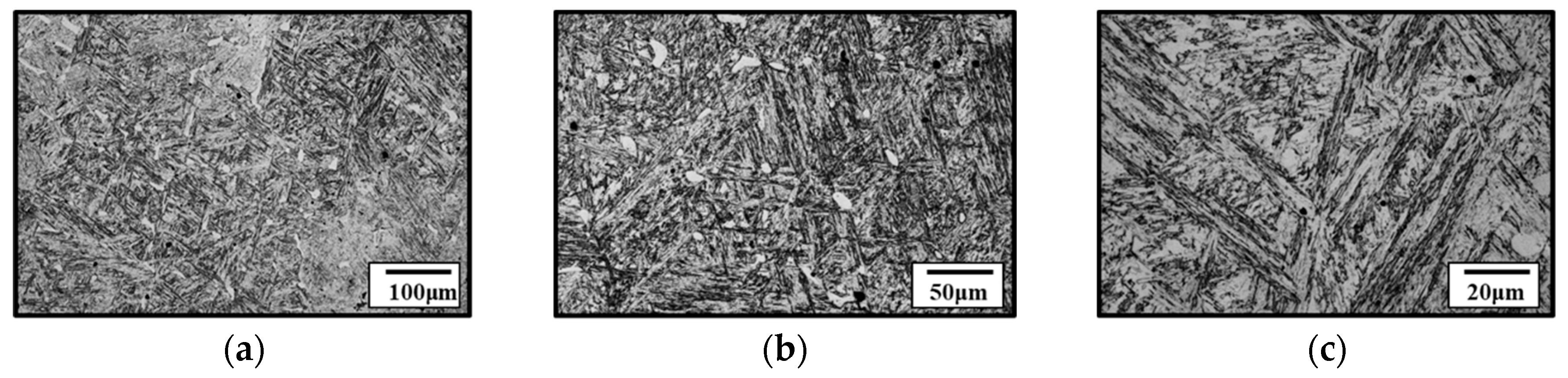 Metals 15 00863 g003a Metals 15 00863 g003a
