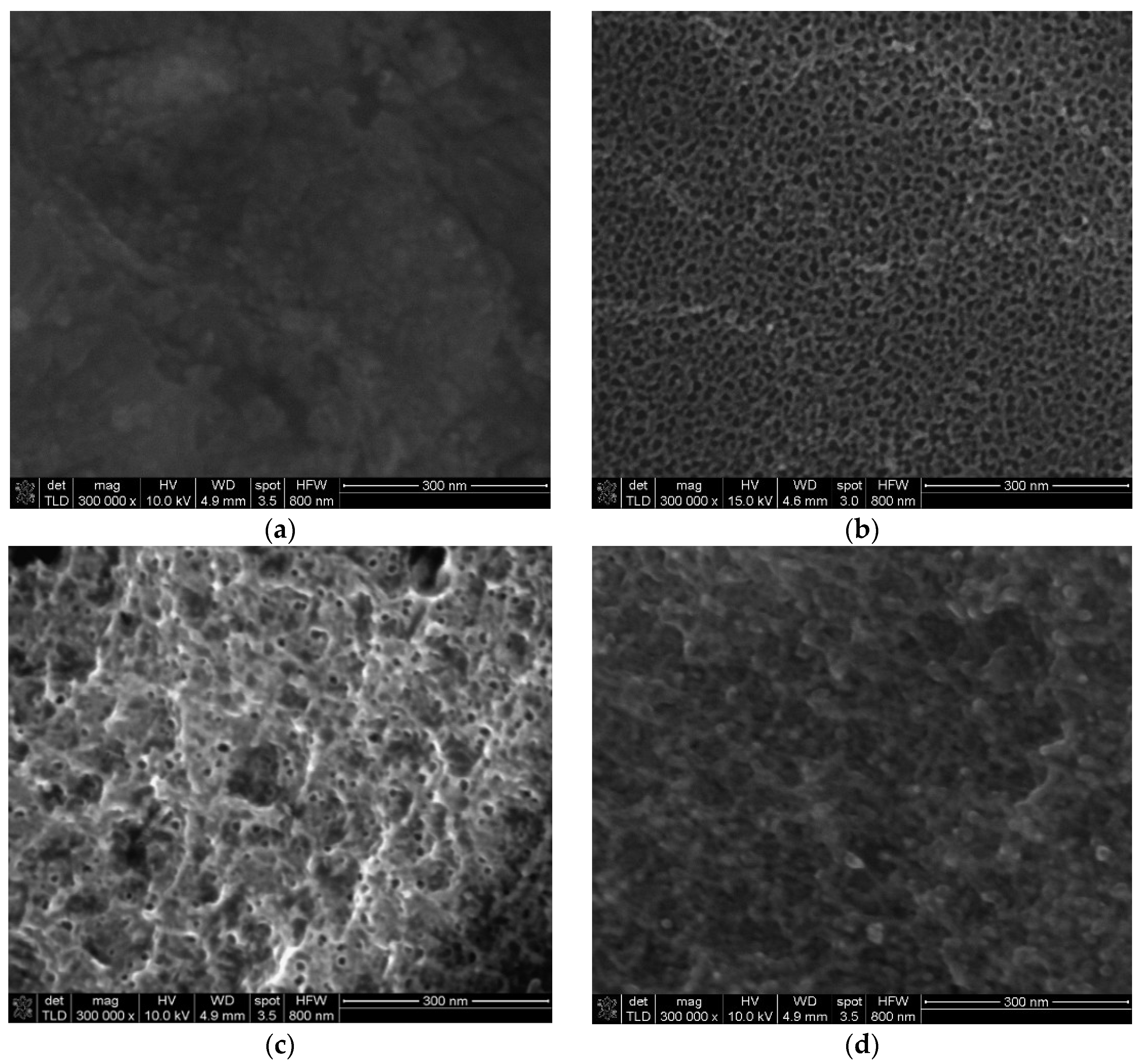 Metals 15 00884 g004 Metals 15 00884 g004