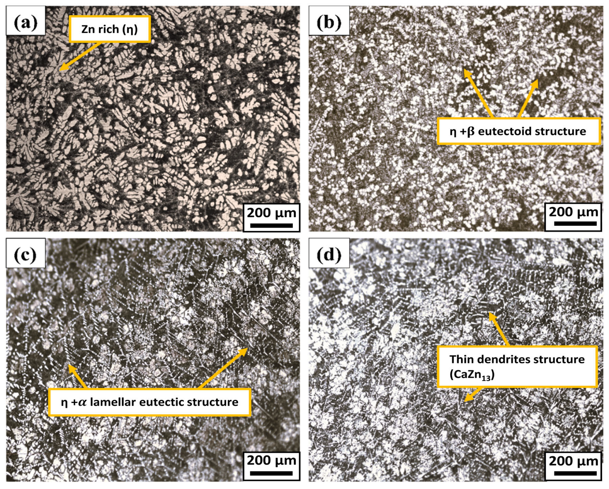 Metals 15 00922 g002