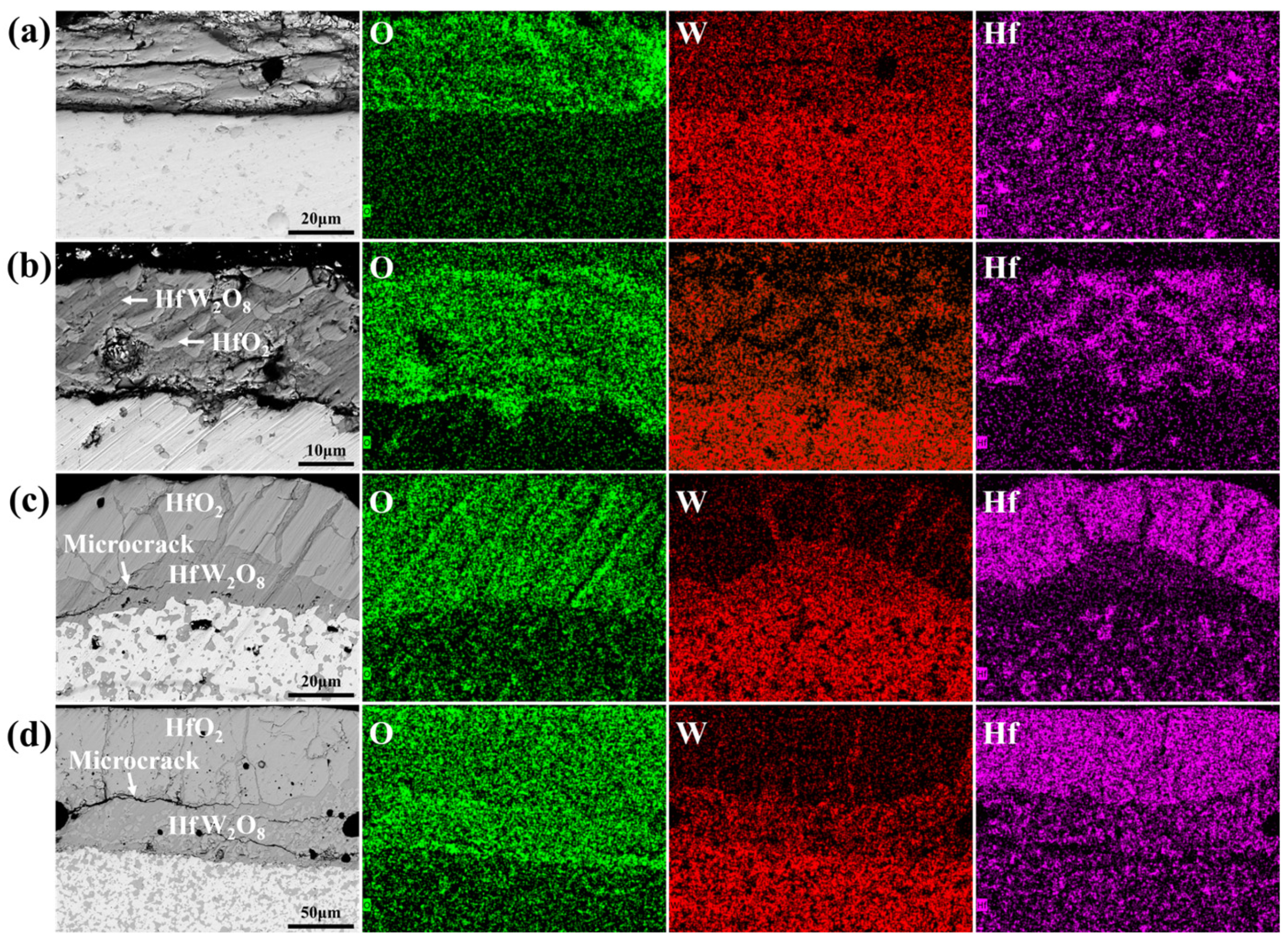 Metals 15 00925 g005