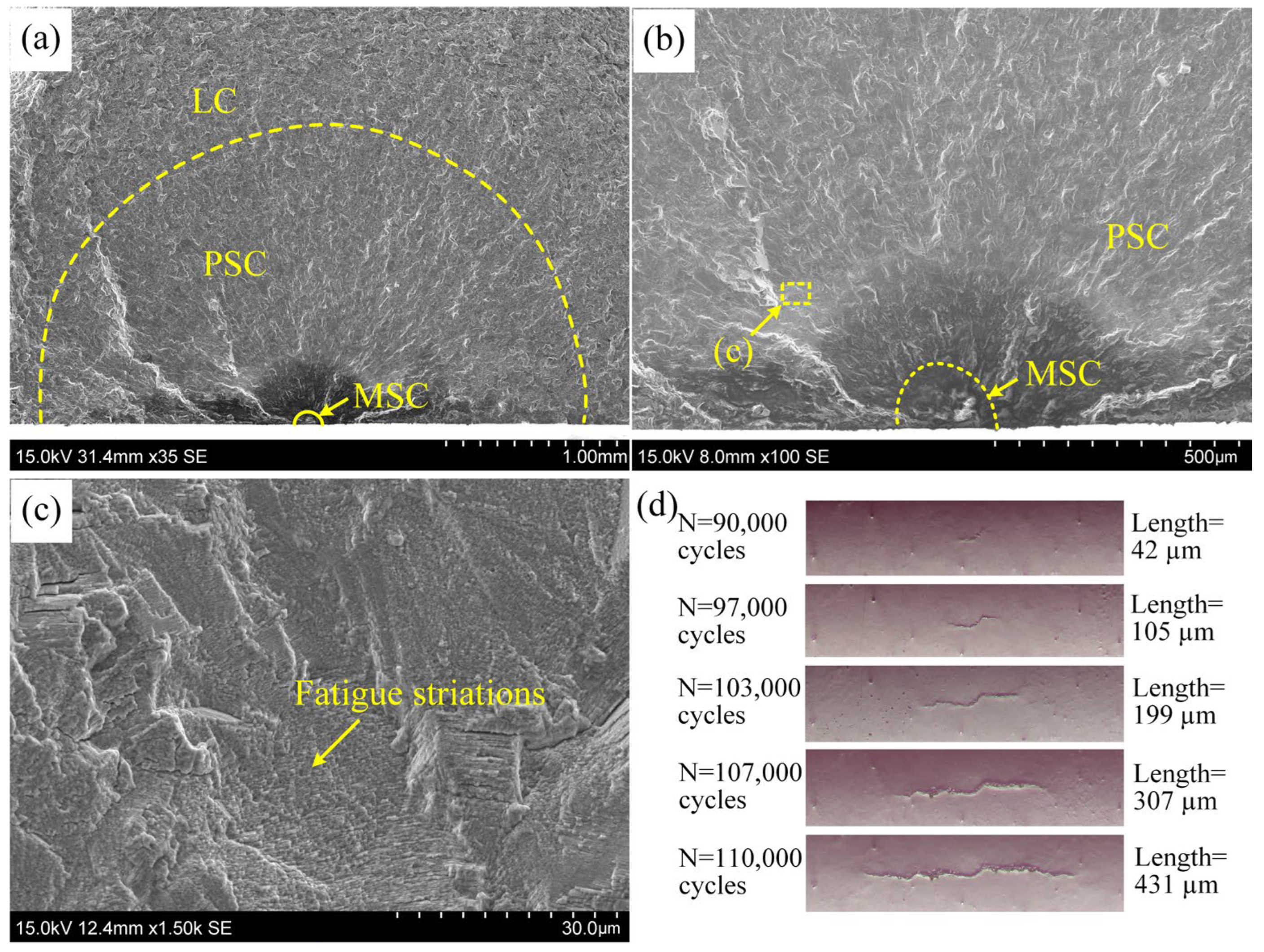Metals 15 00933 g006