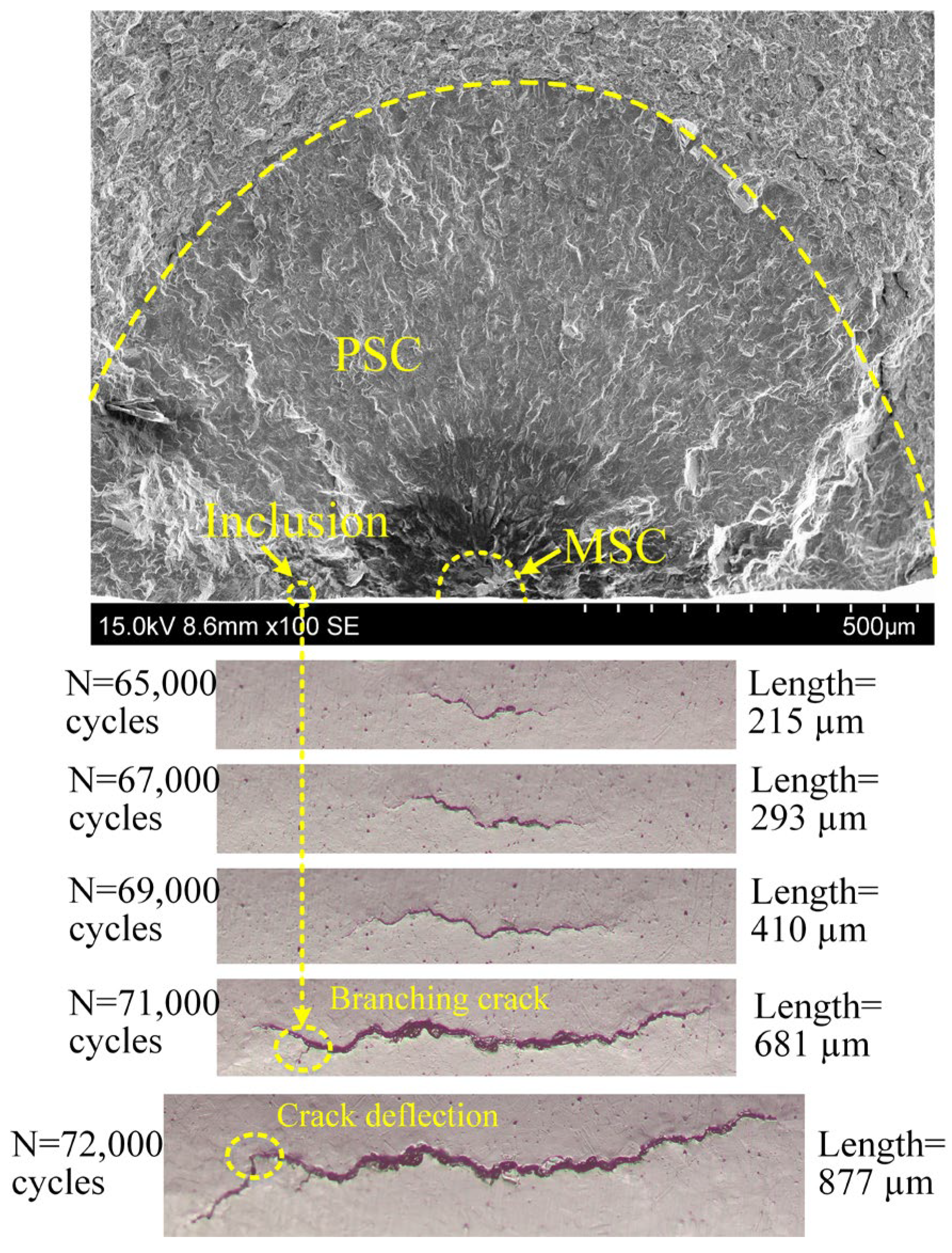 Metals 15 00933 g007