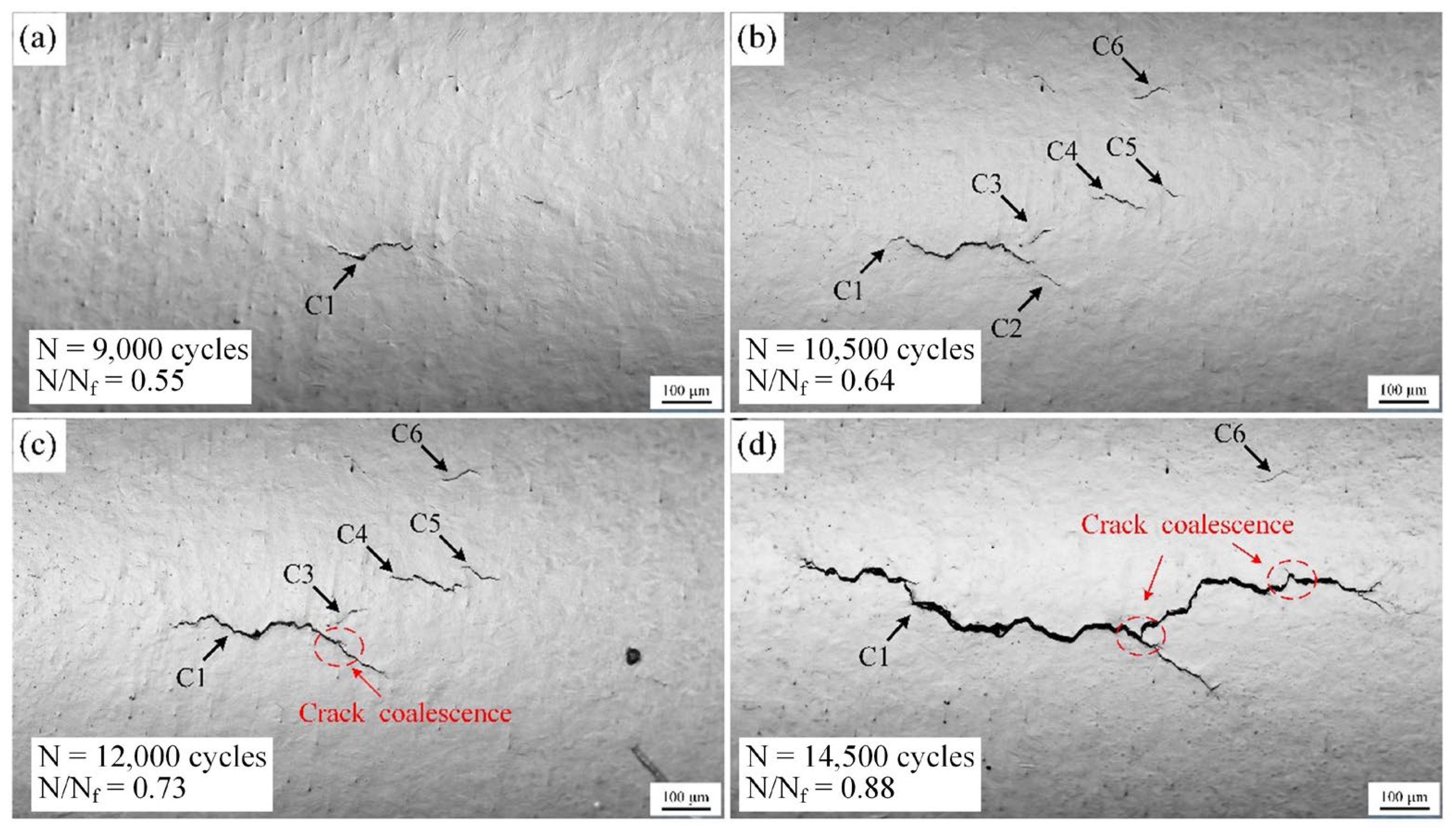 Metals 15 00933 g008