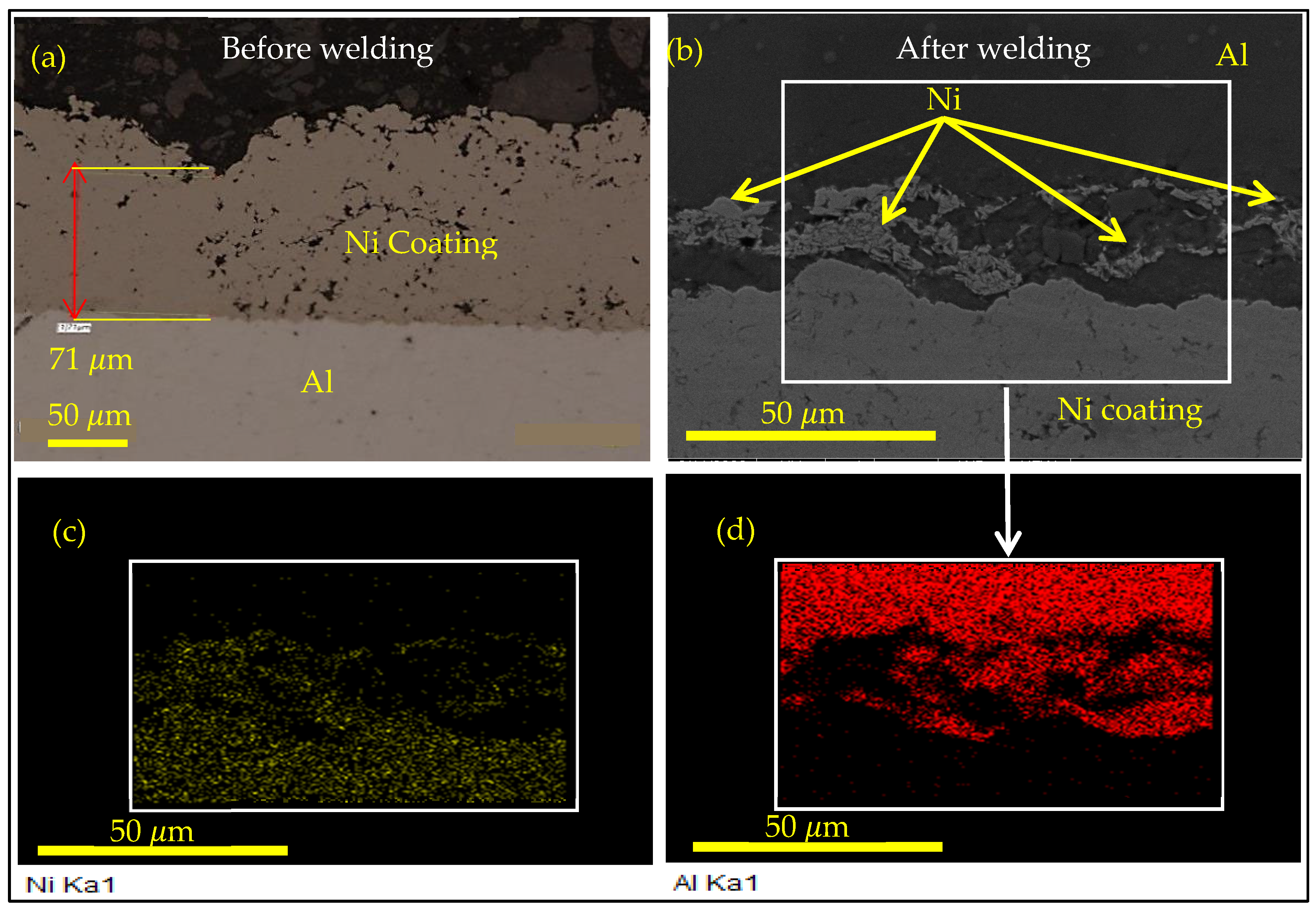 Metals 15 00940 g009