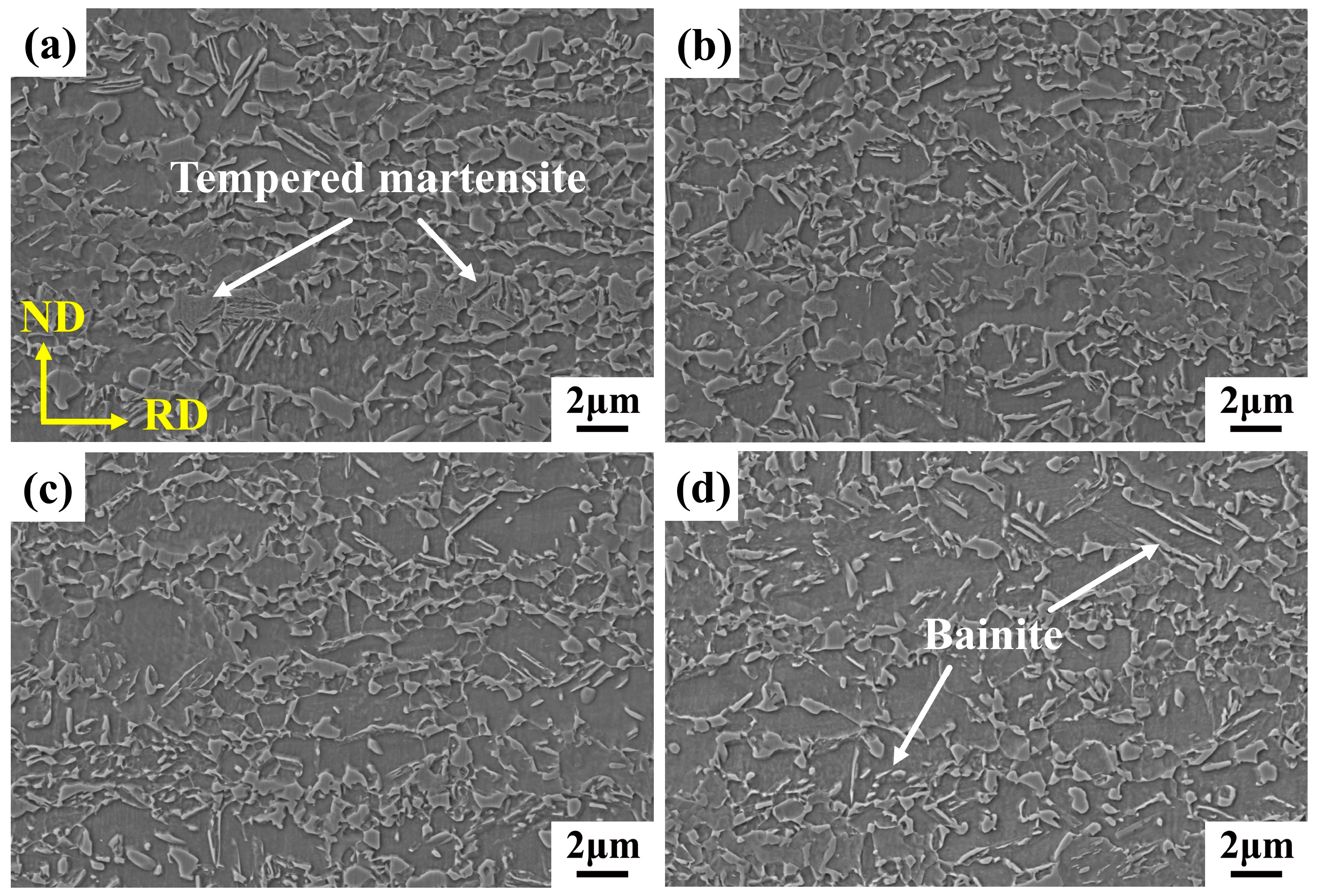 Metals 15 00974 g006
