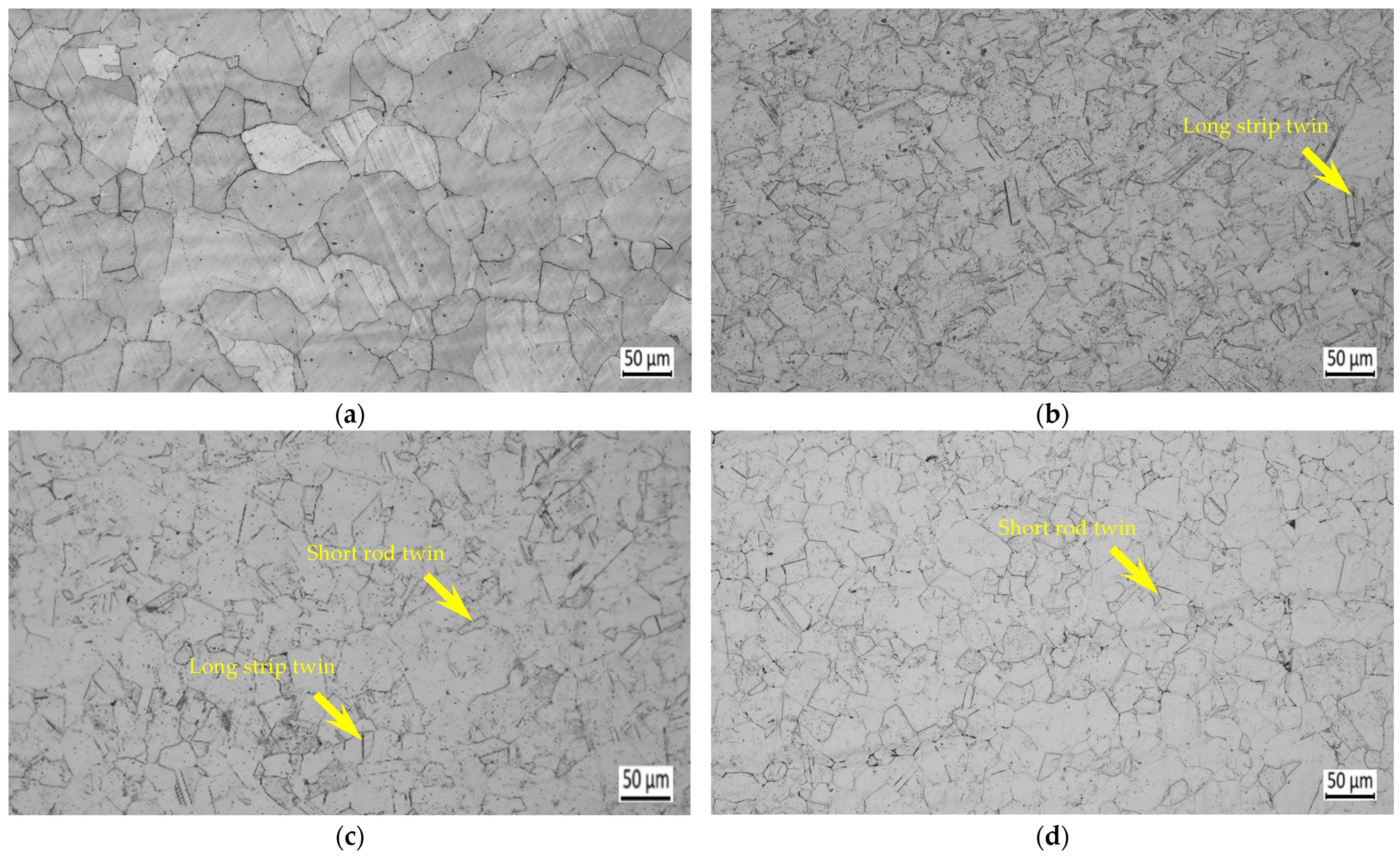 Metals 15 01025 g005