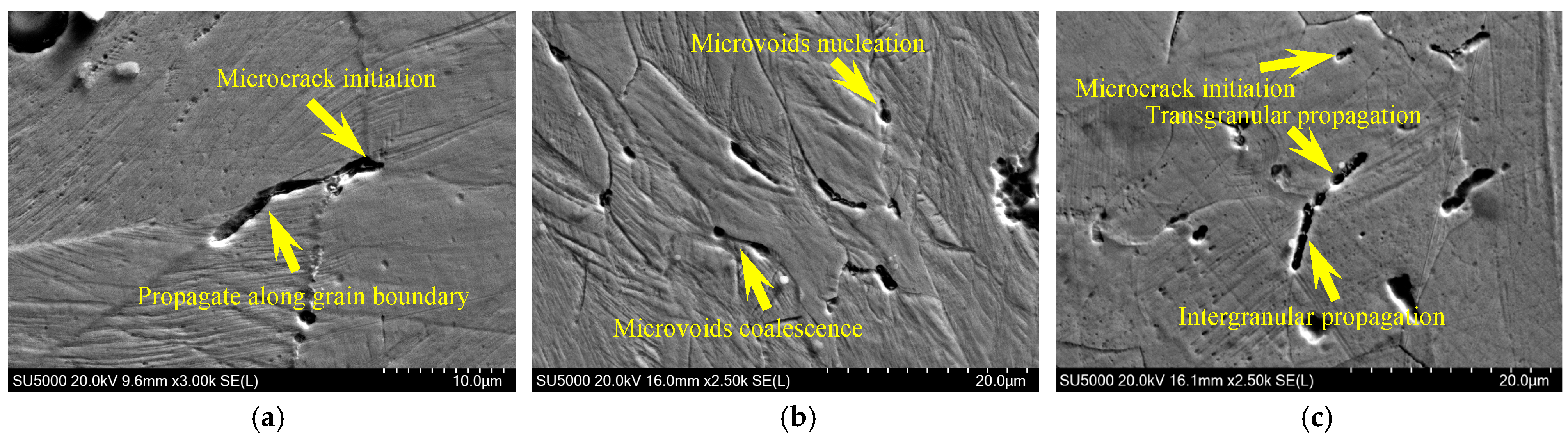 Metals 15 01025 g012