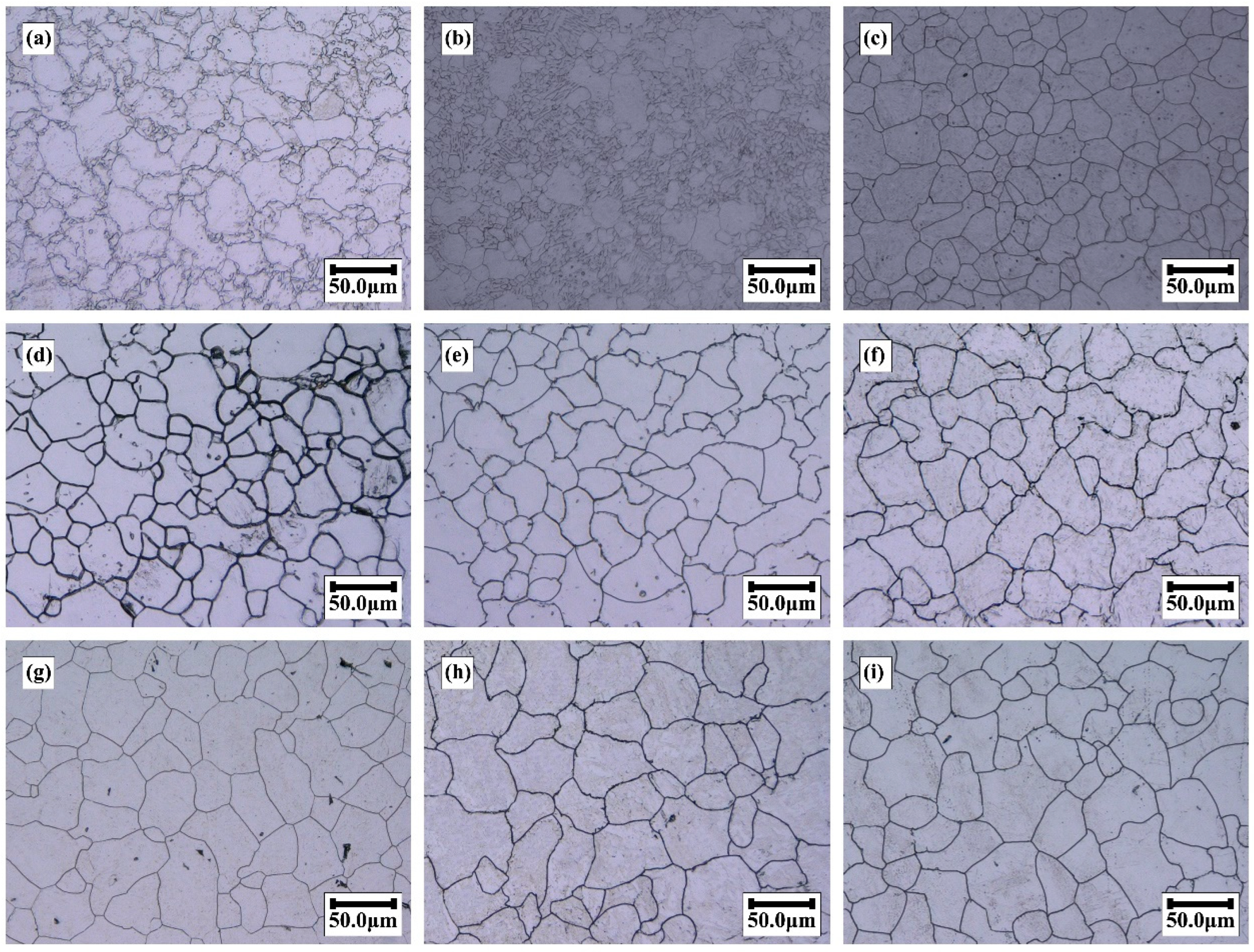 Metals 15 01028 g001