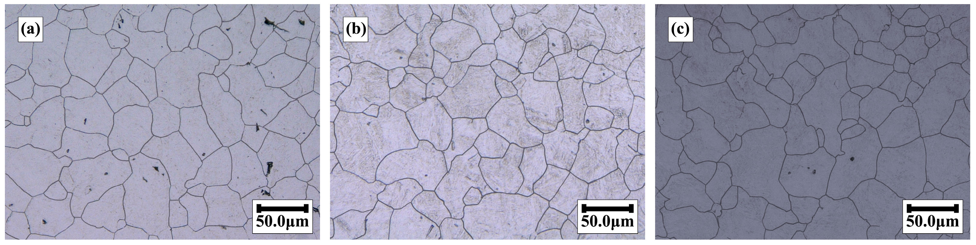 Metals 15 01028 g003