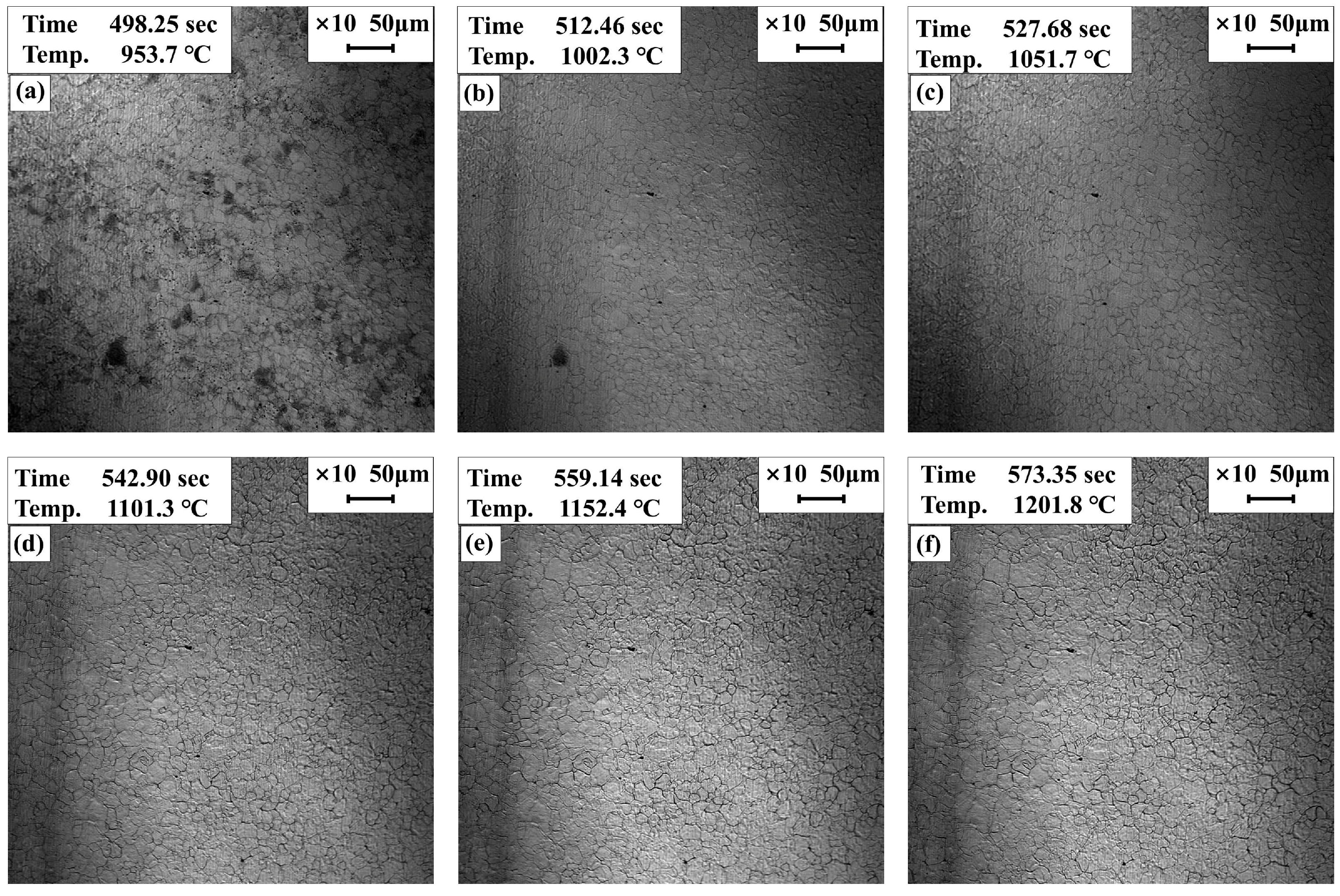 Metals 15 01028 g008