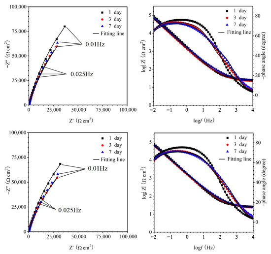 Metals 15 01040 g008